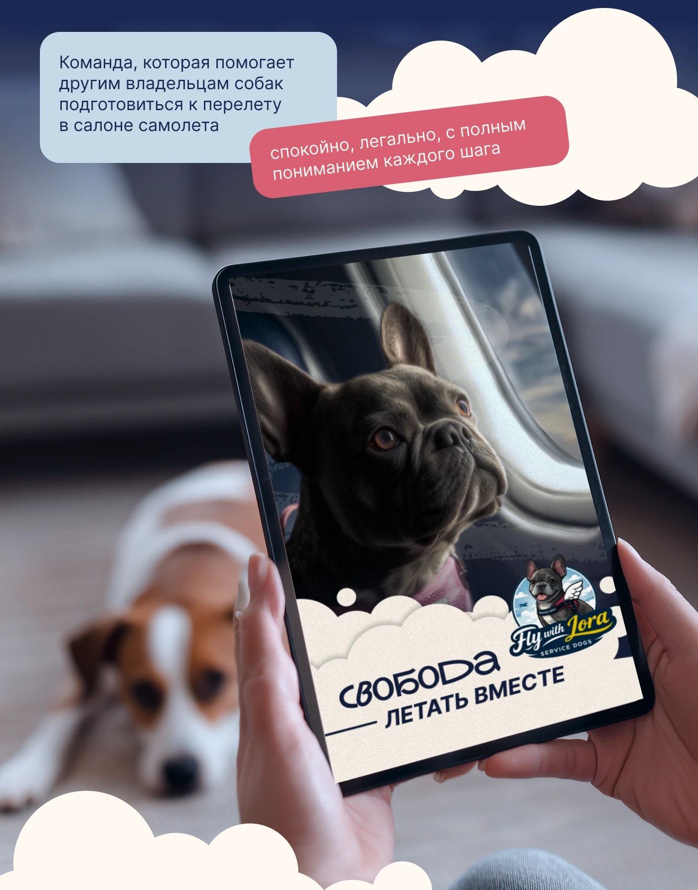 Коммерческое предложение для сервиса — Изображение №6 — Графика, Маркетинг на Dprofile