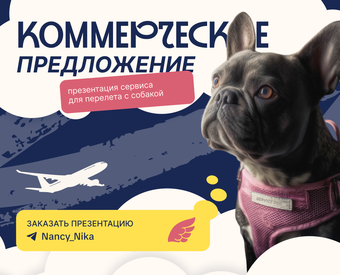 Коммерческое предложение для сервиса — Графика, Маркетинг на Dprofile