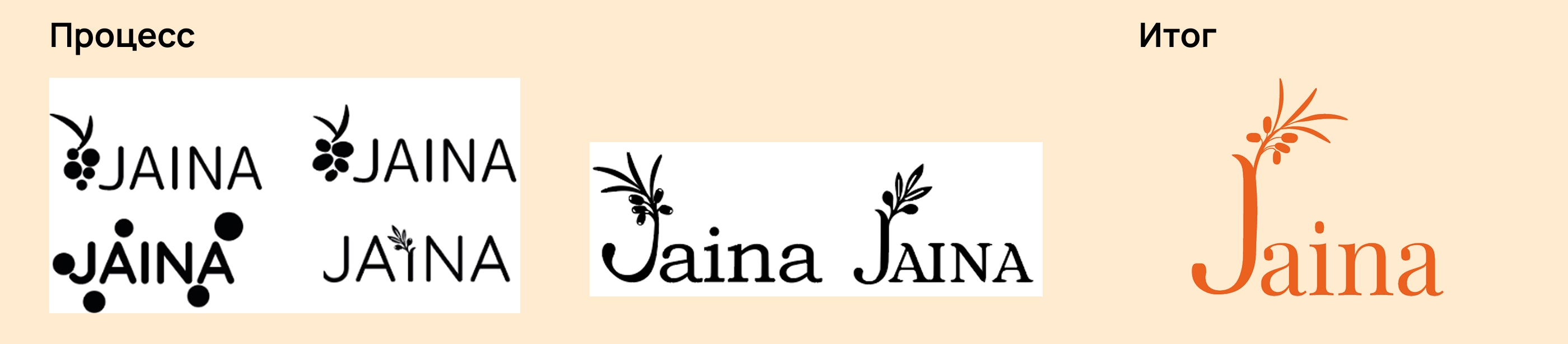 Jaina | Ребрендинг уходовой косметики — Изображение №4 — Брендинг на Dprofile
