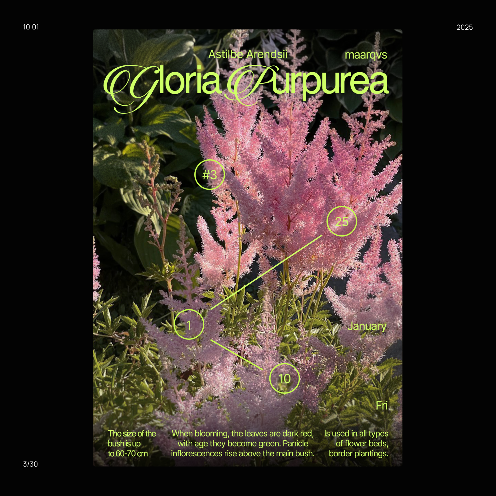 30 ДНЕЙ ПЛАКАТОВ — Изображение №3 — Графика на Dprofile