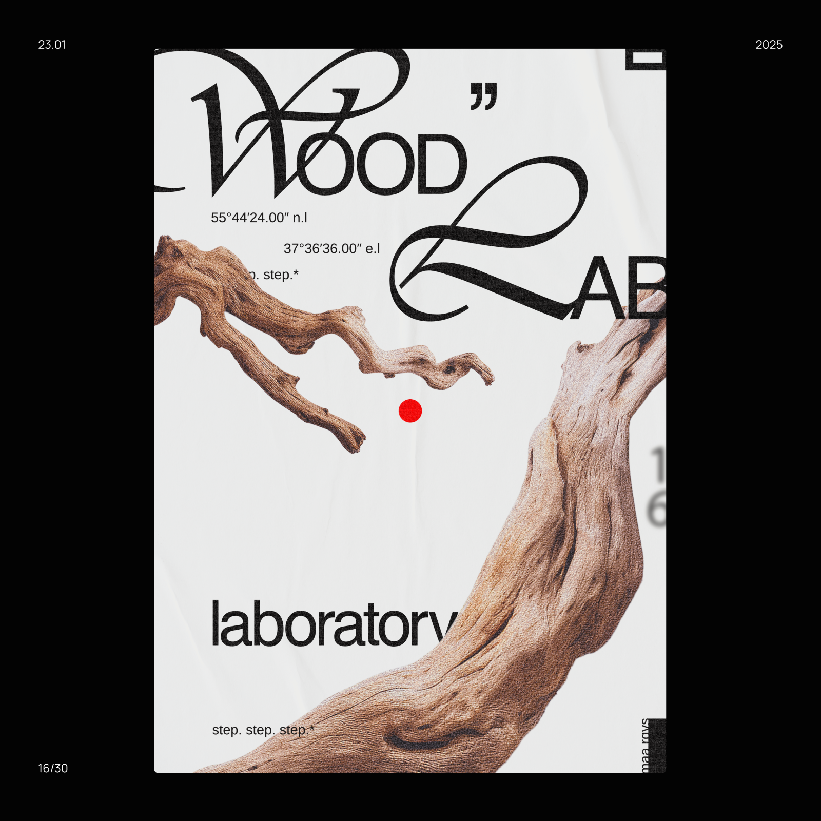 30 ДНЕЙ ПЛАКАТОВ — Изображение №18 — Графика на Dprofile