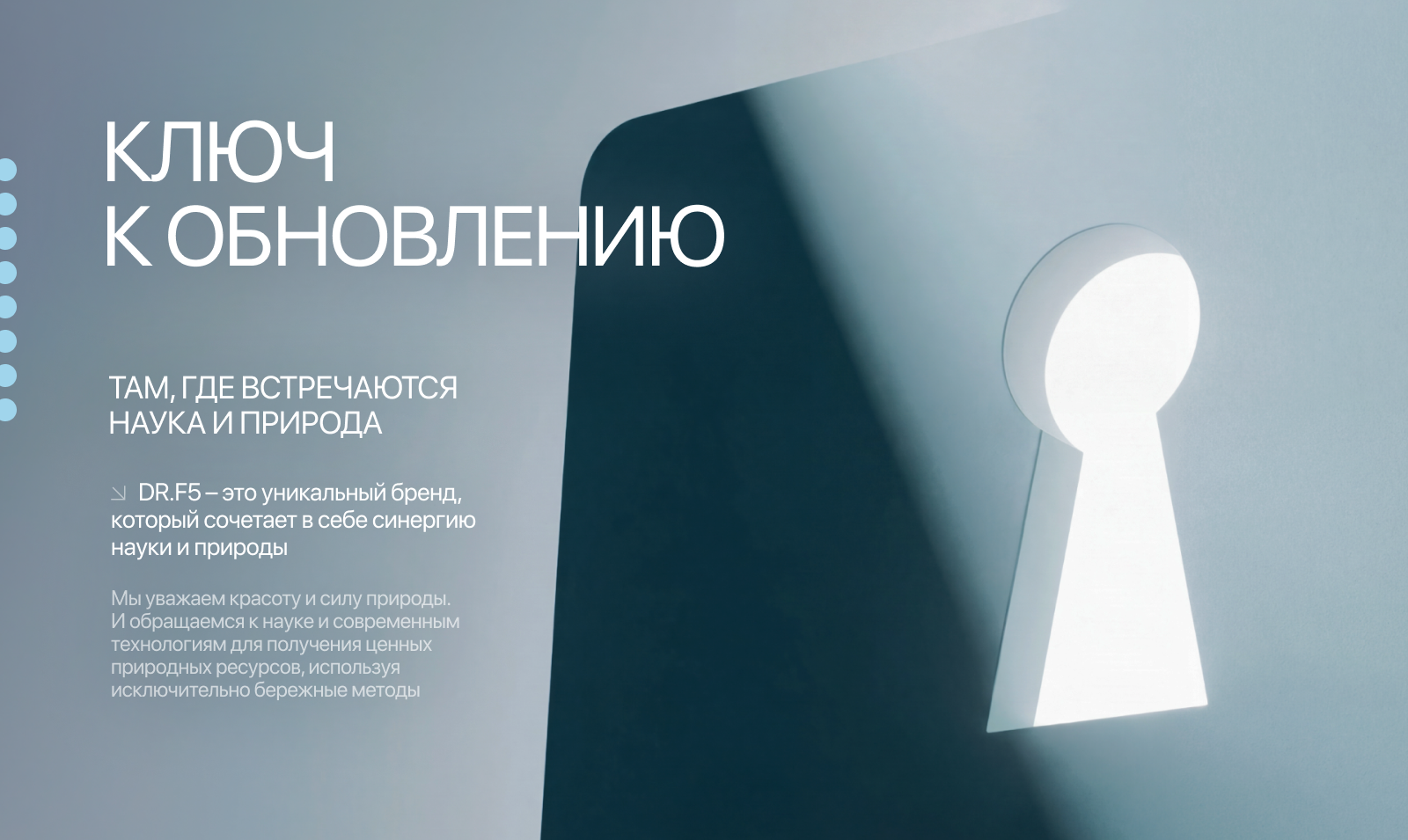 DR.F5 → BRAND IDENTITY — Изображение №1 — Брендинг, Графика на Dprofile