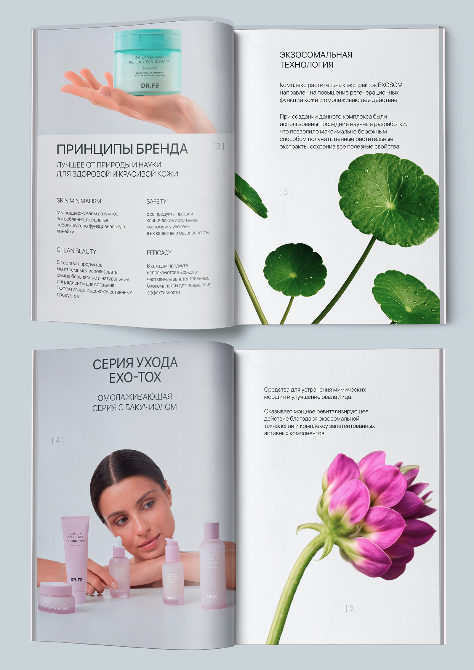DR.F5 → BRAND IDENTITY — Изображение №15 — Брендинг, Графика на Dprofile