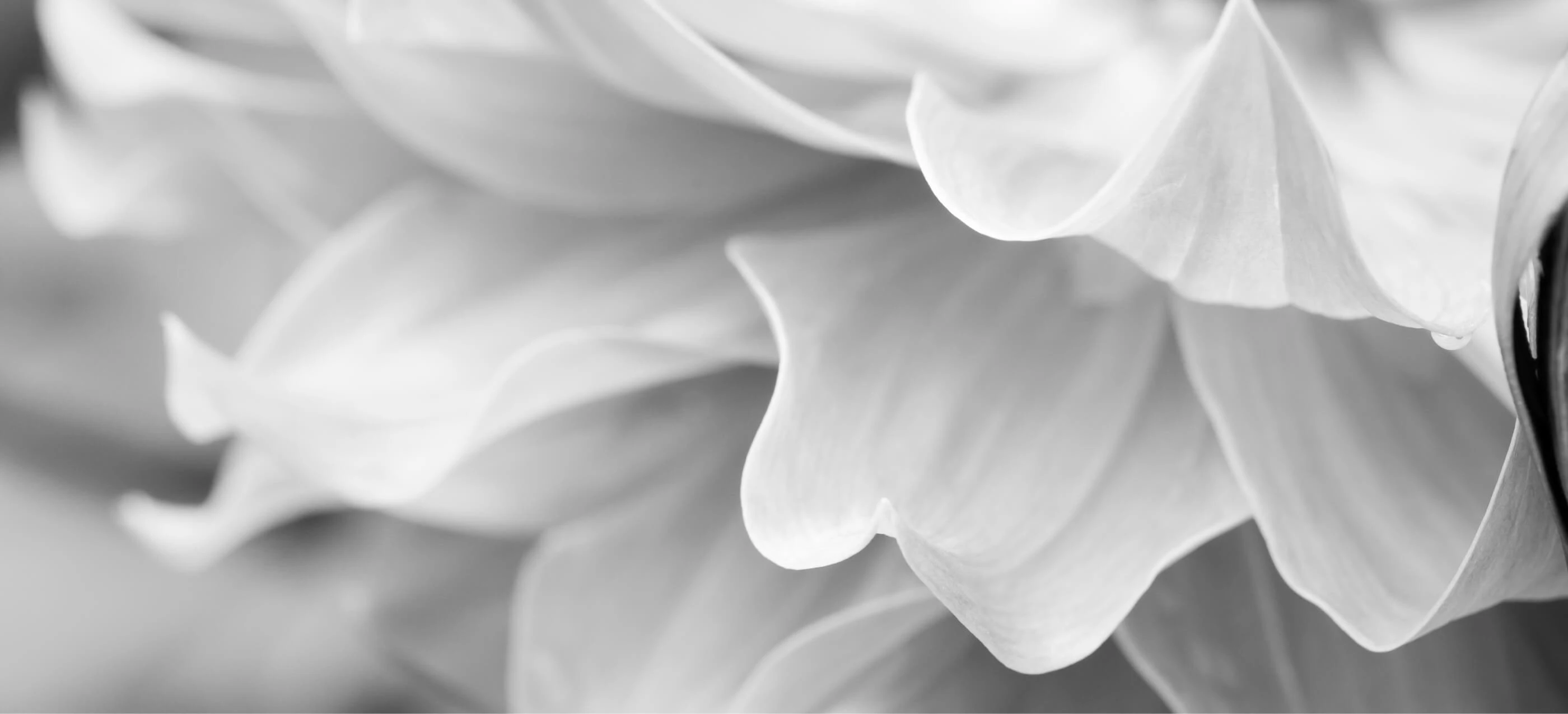 Сайт для практикума | Landing page for photography — Изображение №6 — Интерфейсы, Брендинг на Dprofile