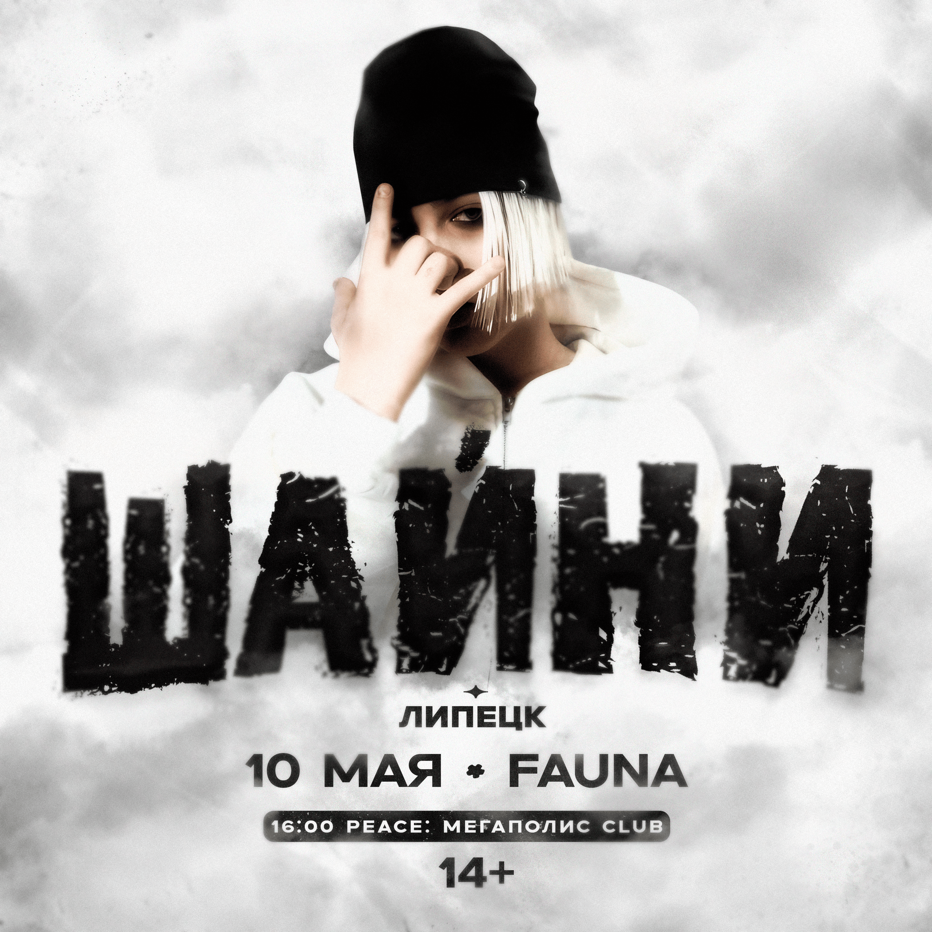 Графика к концерту Шайни — Изображение №5 — Графика, Маркетинг на Dprofile