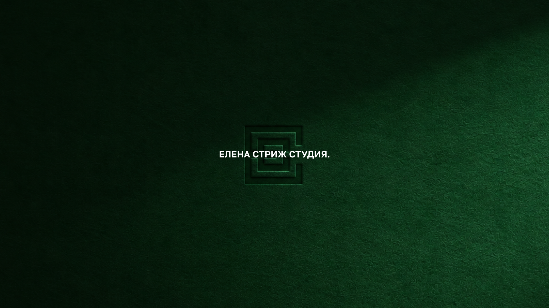 ЕЛЕНА СТРИЖ СТУДИЯ. — Изображение №1 — Брендинг на Dprofile