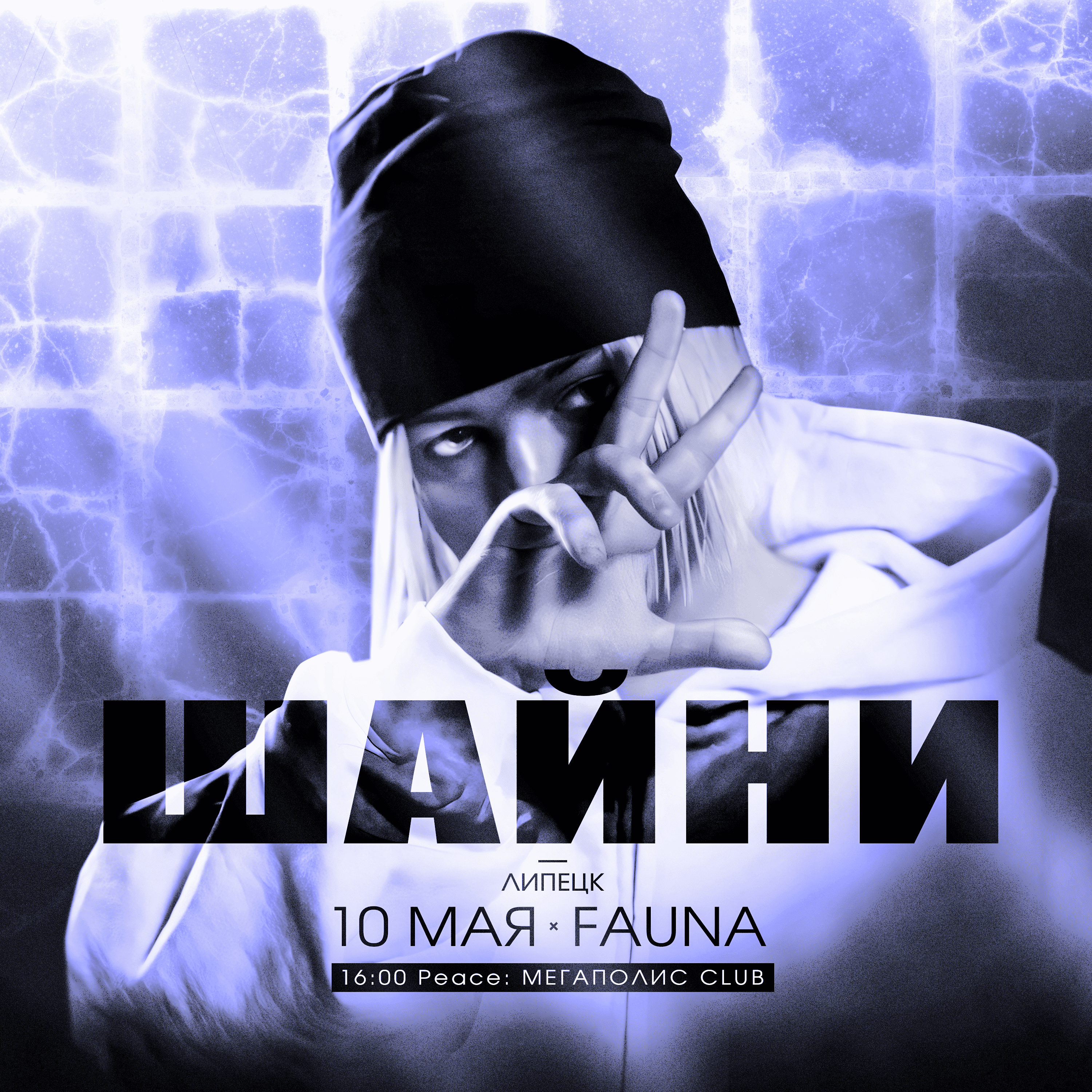 Графика к концерту Шайни — Изображение №3 — Графика, Маркетинг на Dprofile