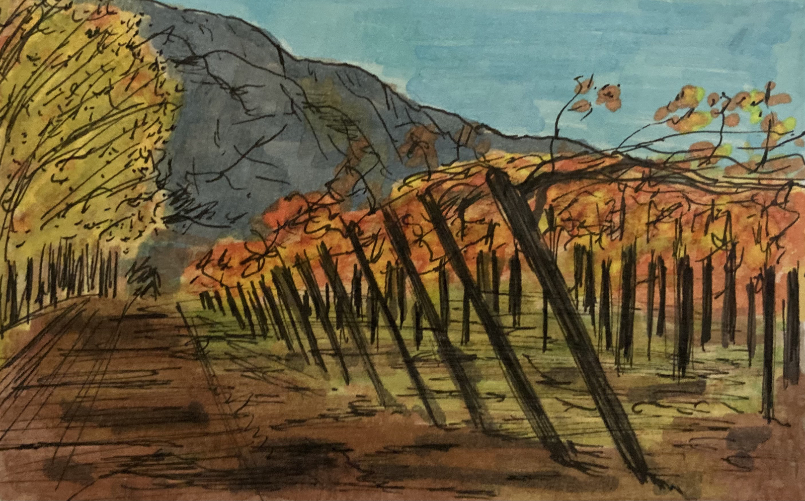 ¡Vamos, Argentina! — Изображение №12 — Иллюстрация, Графика на Dprofile