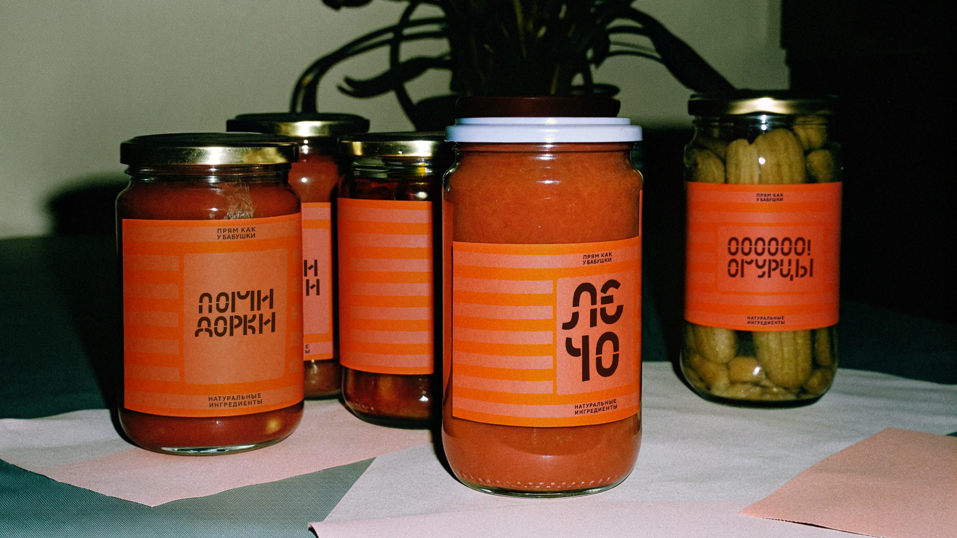 шрифт НЕВАЛЯШКА — Изображение №6 — Брендинг, Графика на Dprofile