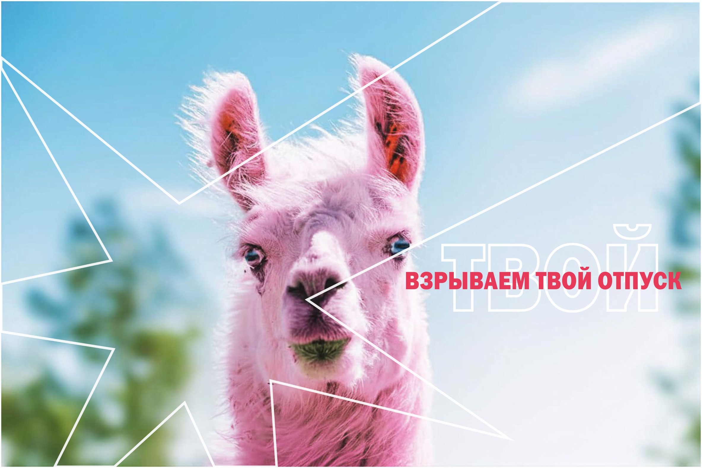 БОМБА ЛЕТО — Изображение №8 — Брендинг на Dprofile