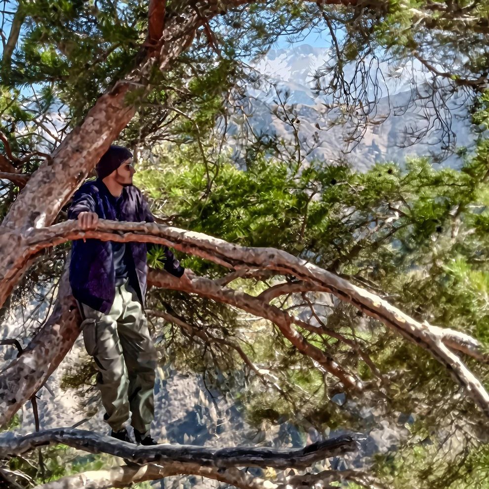 Аватар пользователя Никита Артюшенко