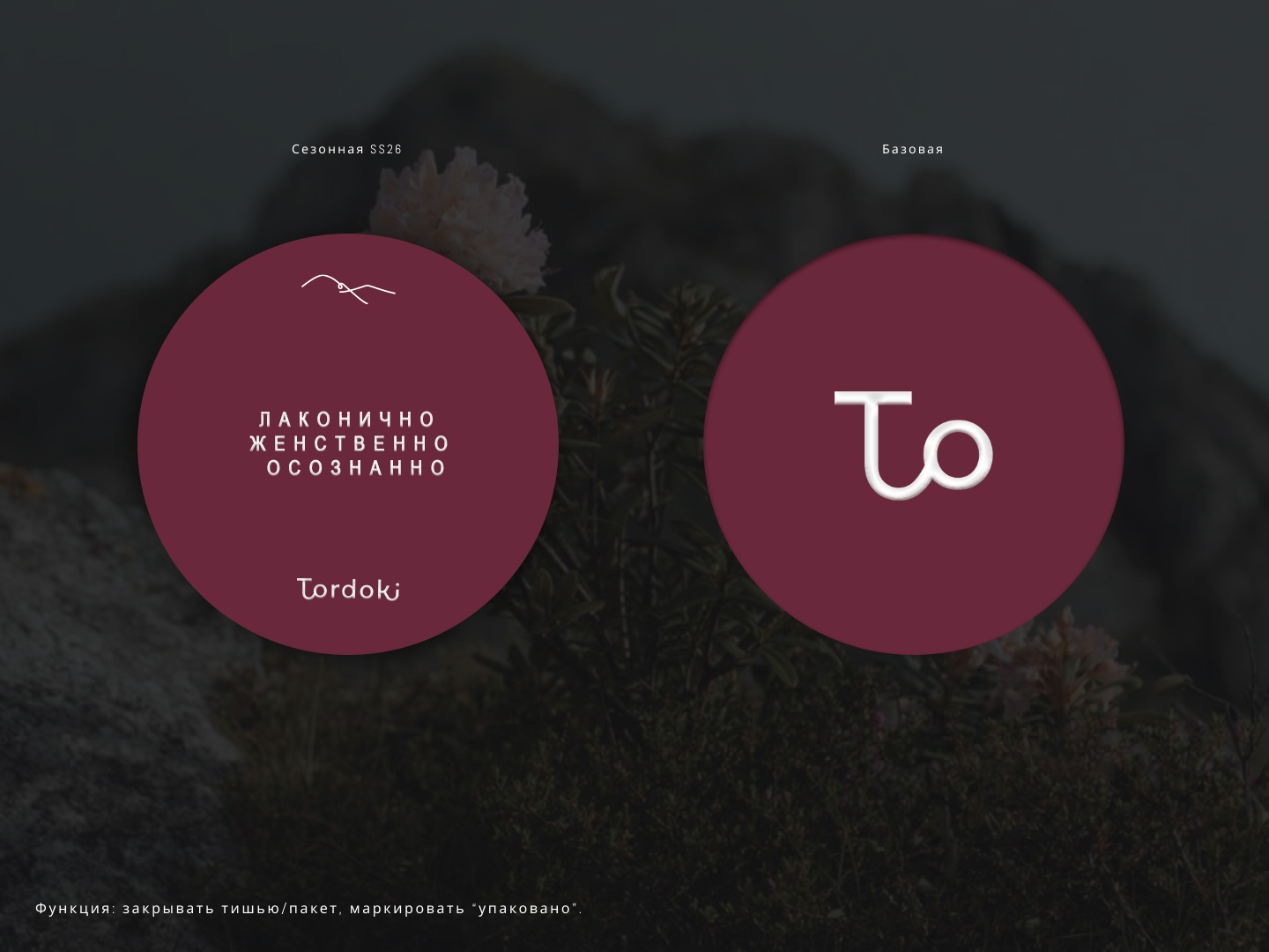 Дизайн фирменных носителей и полиграфия для магазина одежды — Изображение №7 — Брендинг, Графика на Dprofile