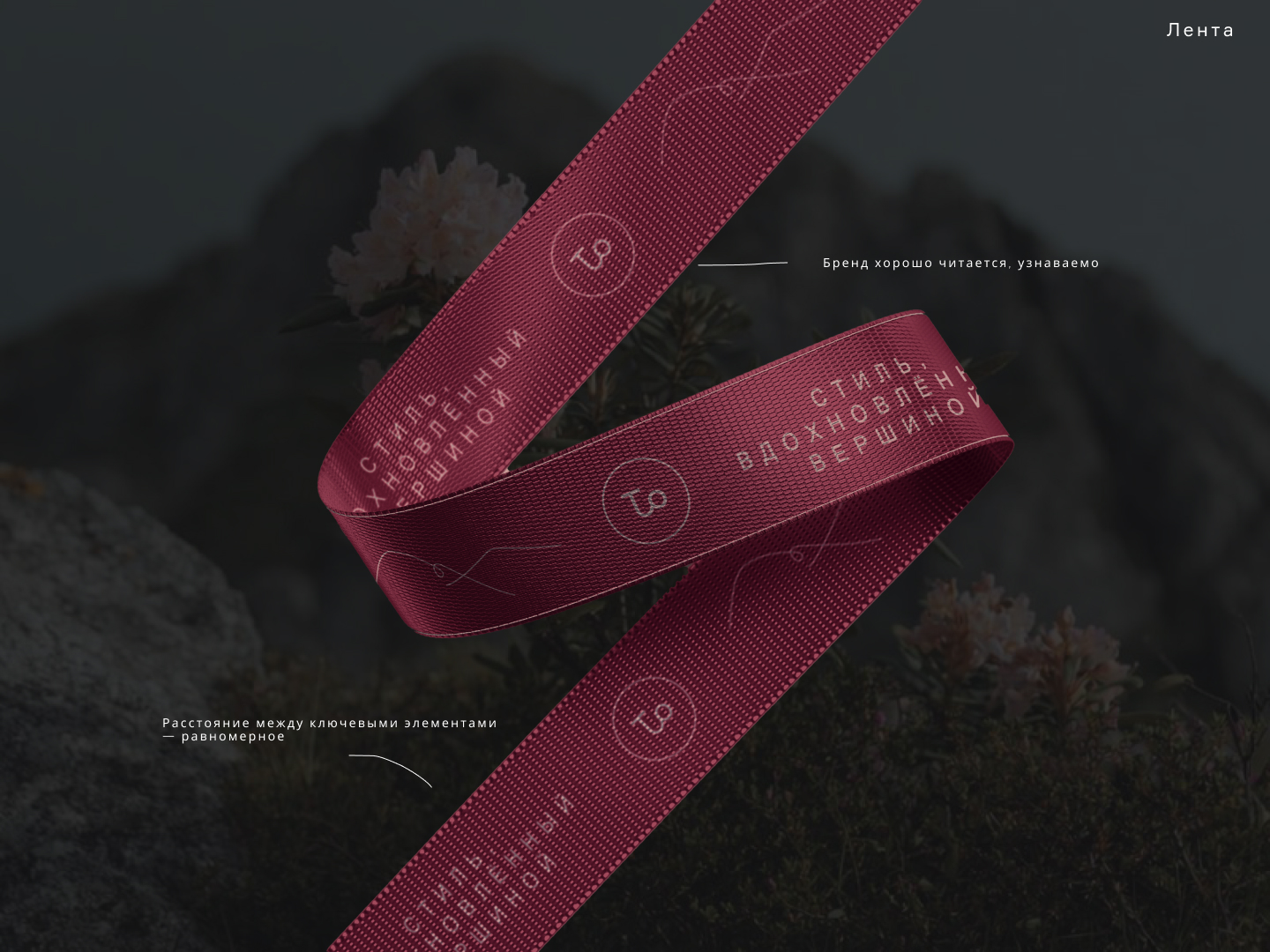 Дизайн фирменных носителей и полиграфия для магазина одежды — Изображение №6 — Брендинг, Графика на Dprofile