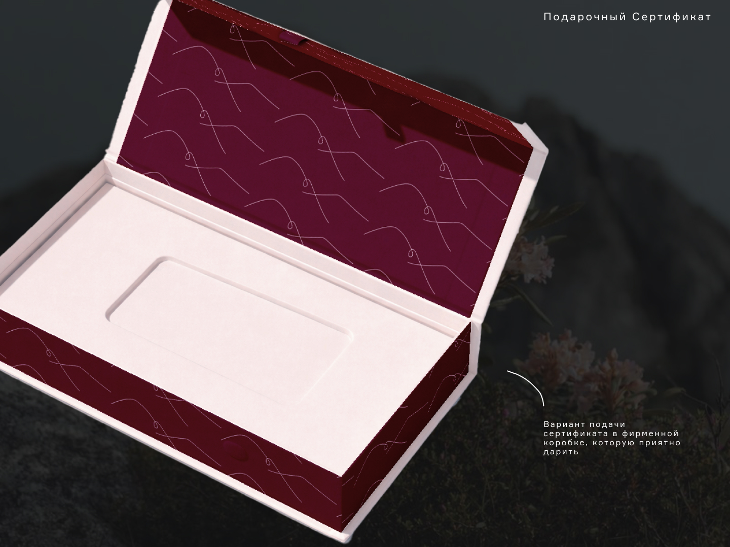 Дизайн фирменных носителей и полиграфия для магазина одежды — Изображение №9 — Брендинг, Графика на Dprofile