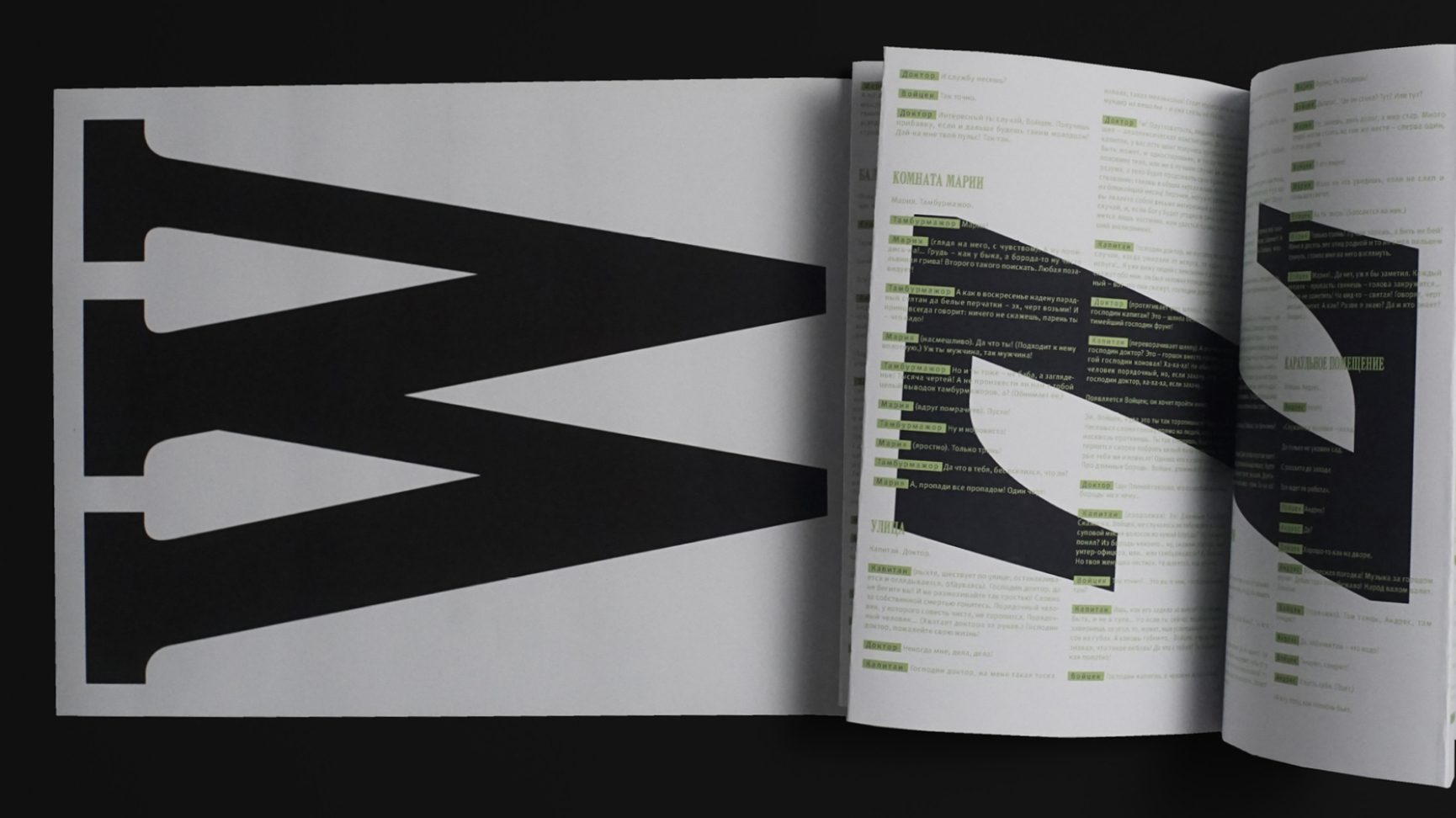 WOYZECK. Издание по пьесе Г. Бюхнера — Изображение №1 — Графика на Dprofile