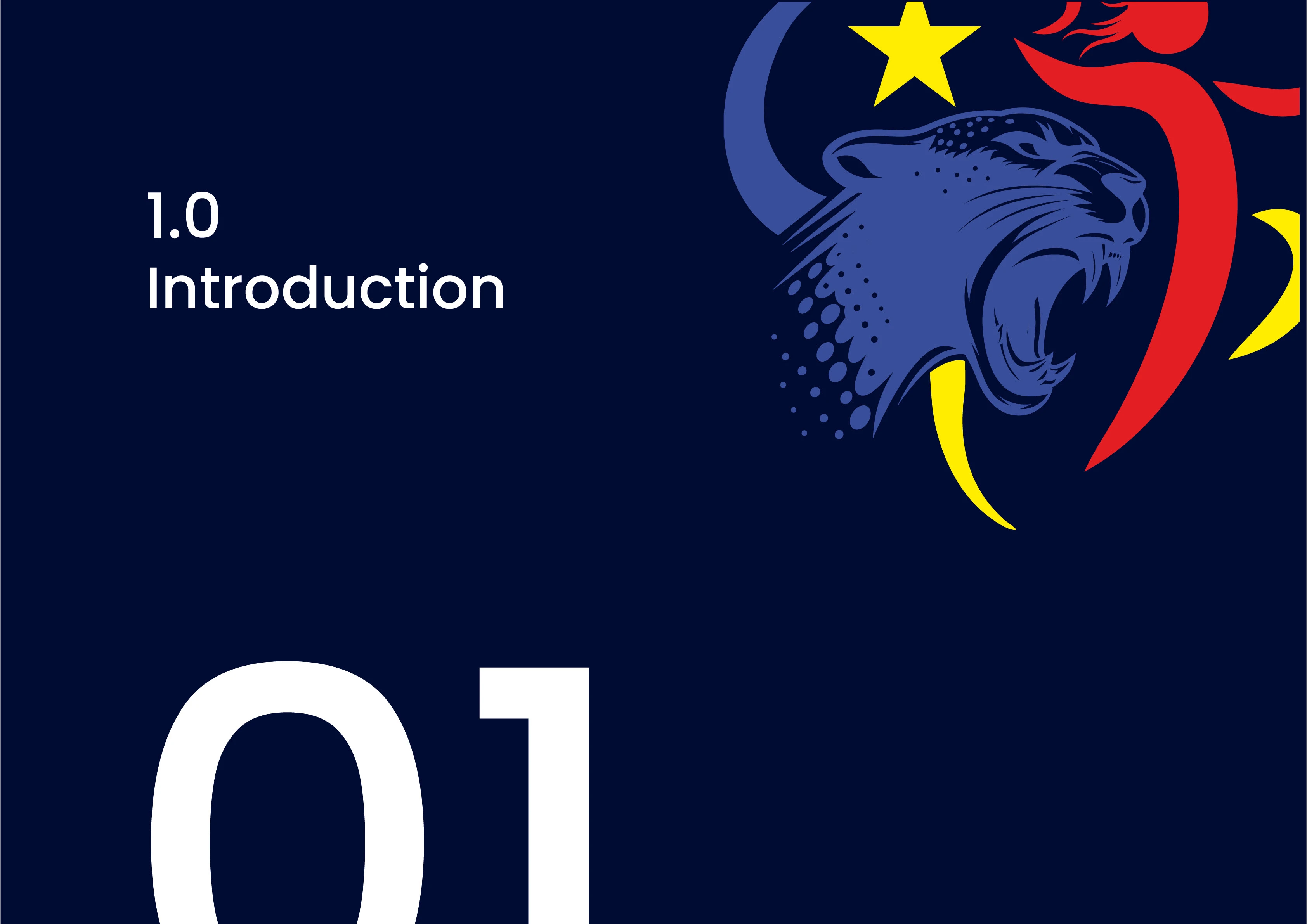 2024 African Women's Handball Championship  / Продвижение 2024 African Women's Handball Championship — Изображение №3 — Брендинг на Dprofile