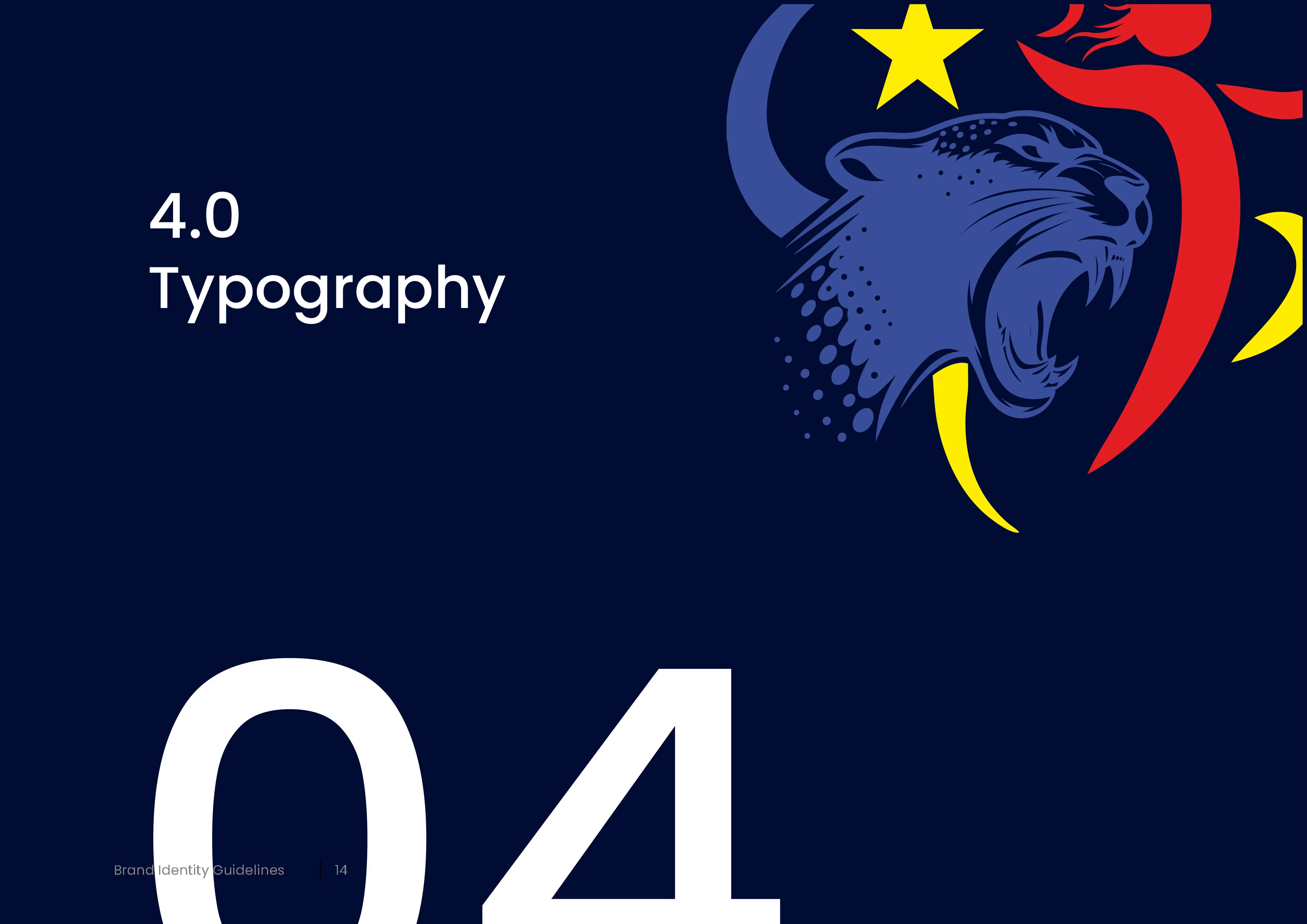 2024 African Women's Handball Championship  / Продвижение 2024 African Women's Handball Championship — Изображение №17 — Брендинг на Dprofile