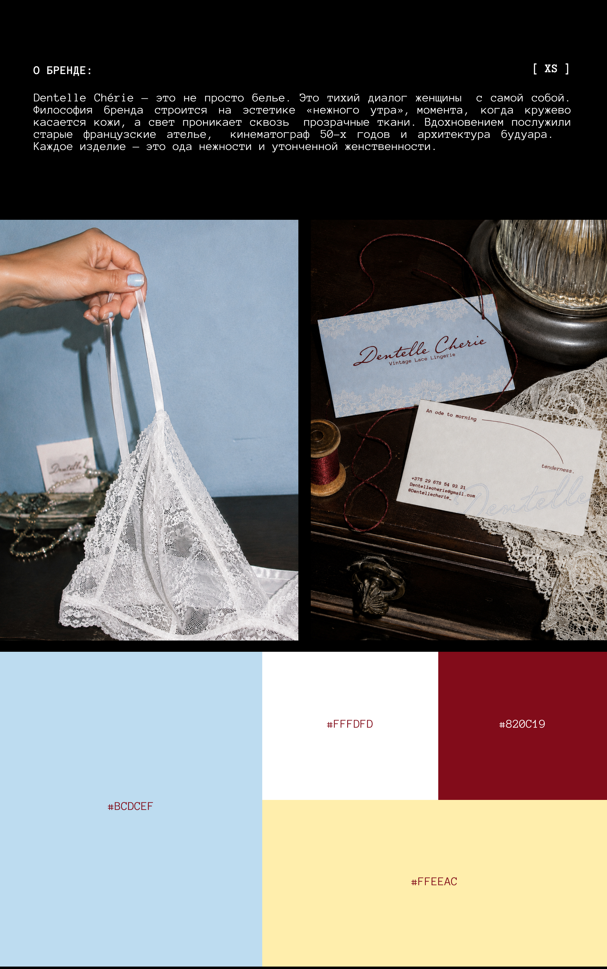 Брендинг | Dentelle Cherie — Изображение №2 — Брендинг на Dprofile