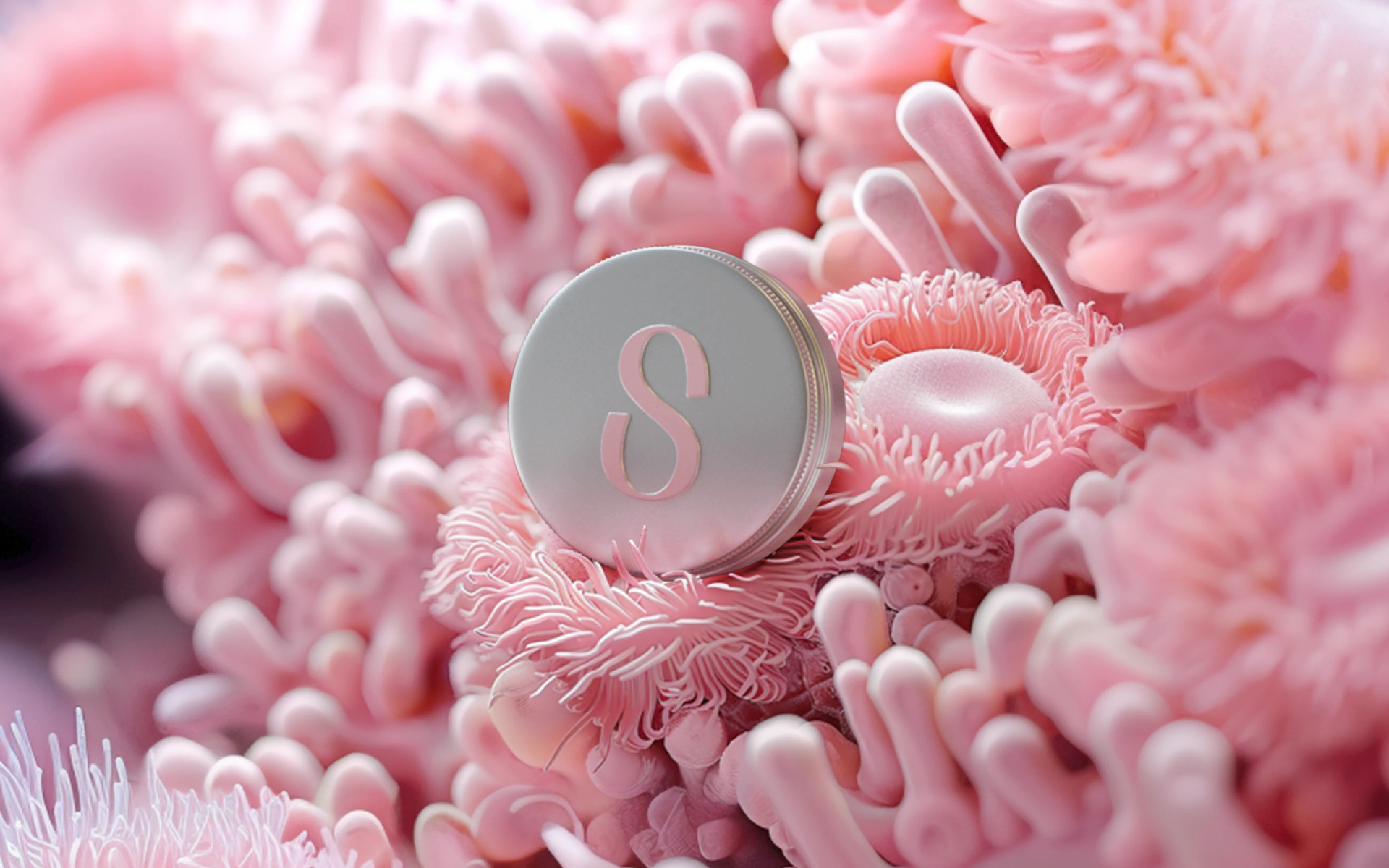 SMORODINA- Visual Identity — Изображение №25 — Брендинг на Dprofile