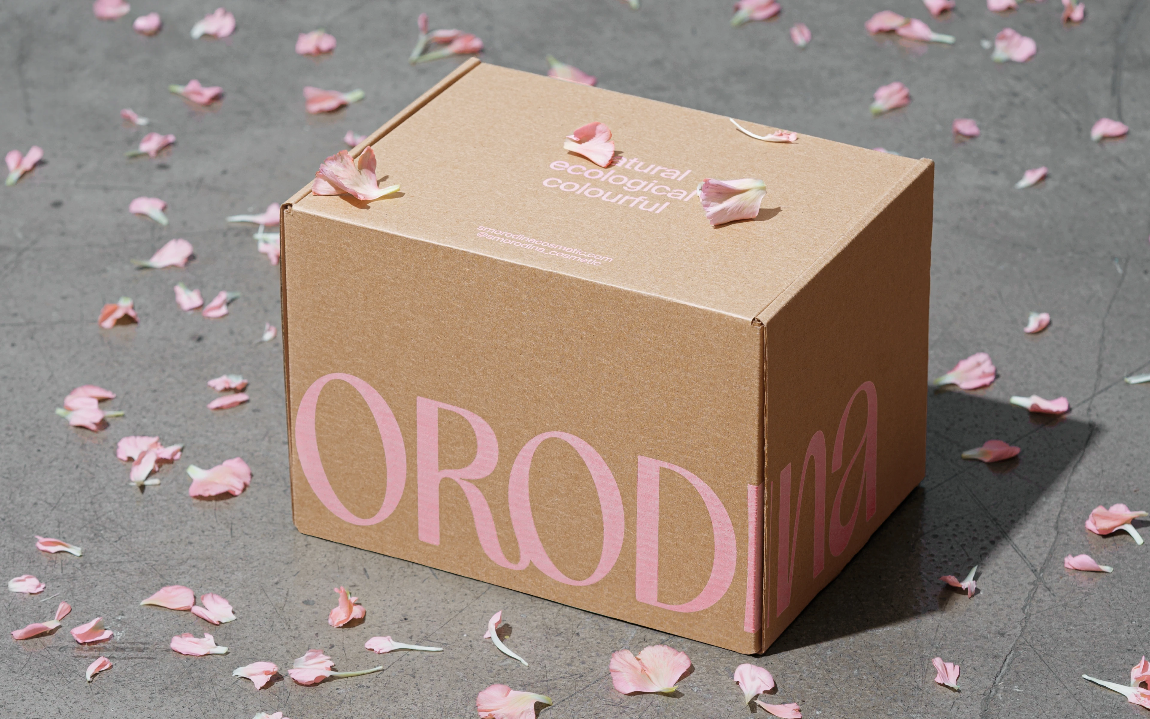 SMORODINA- Visual Identity — Изображение №5 — Брендинг на Dprofile