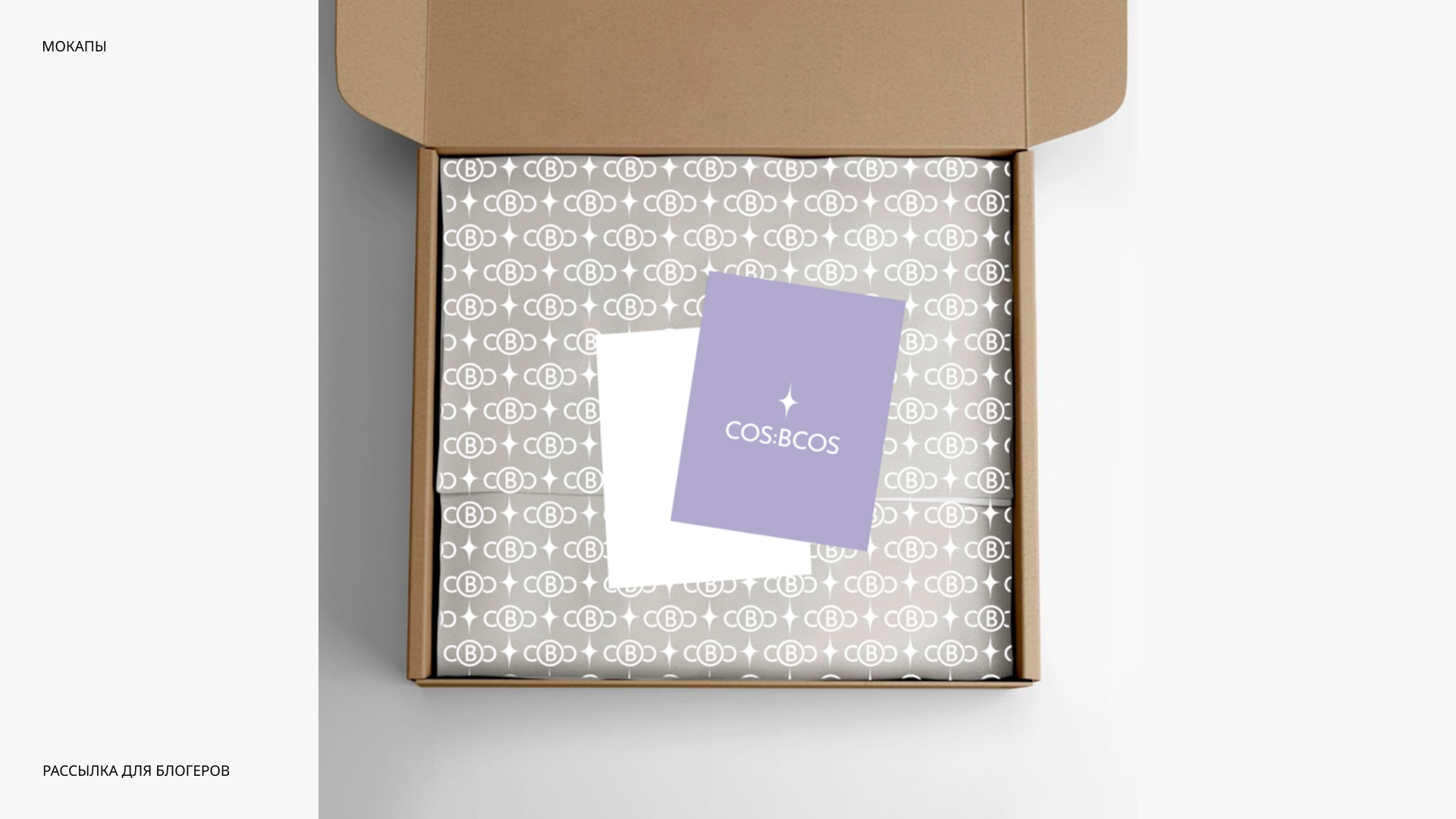 Бренд декоративной косметики COS:BCOS — Изображение №13 — Брендинг на Dprofile