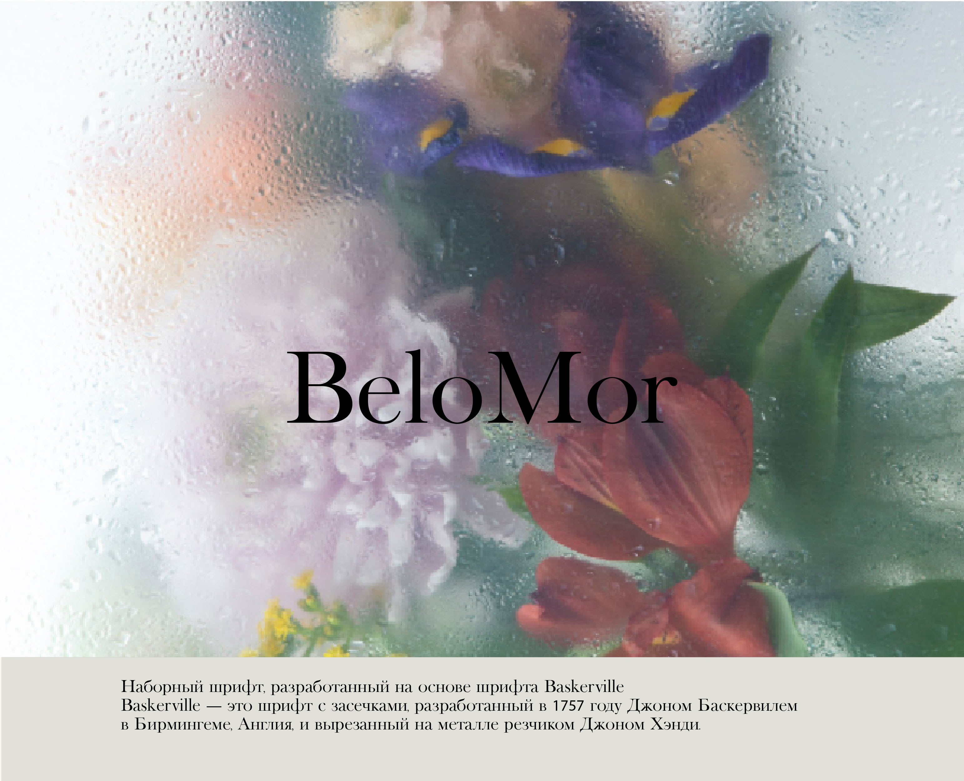 Шрифт BeloMor — Изображение №1 — Графика на Dprofile