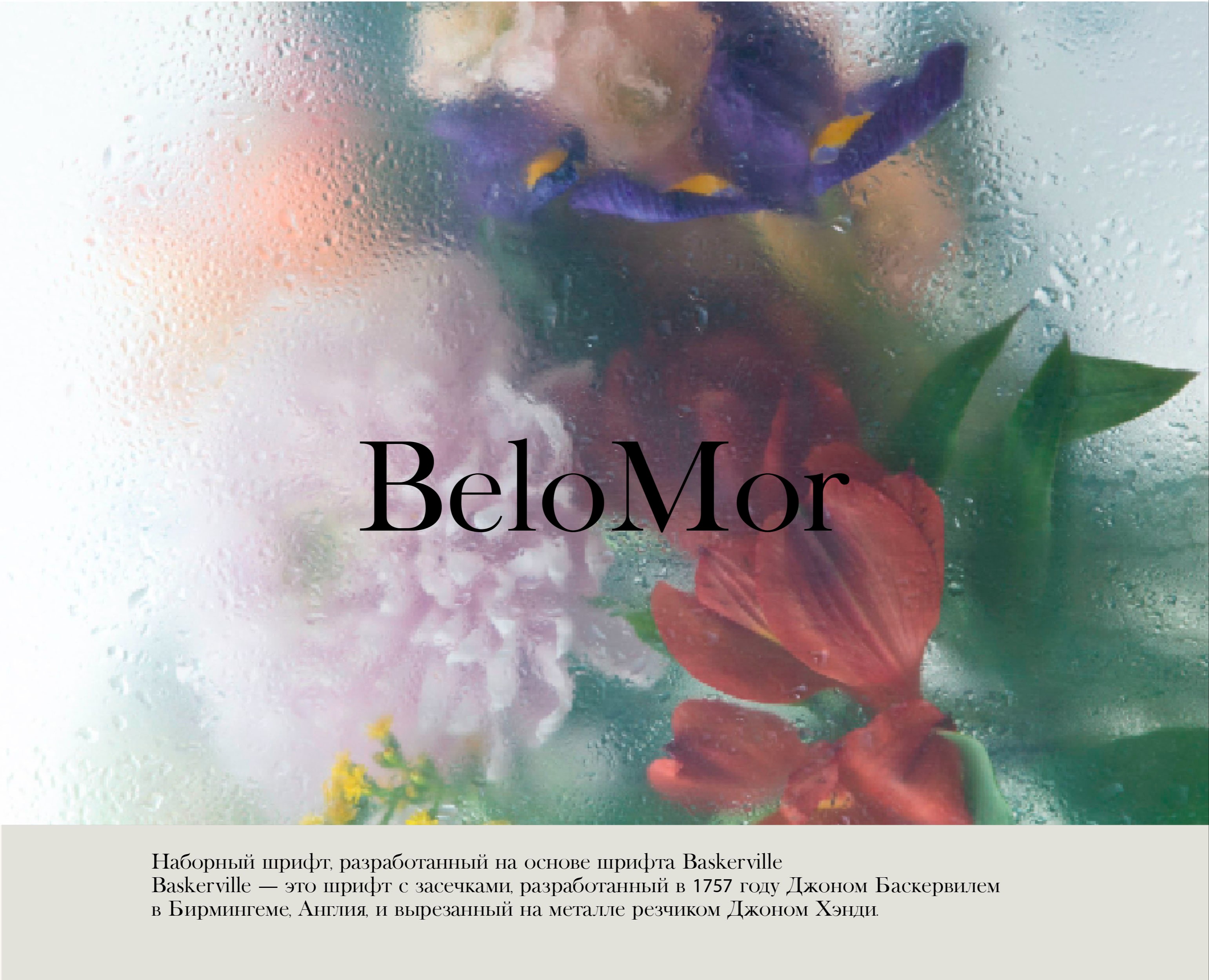 Шрифт BeloMor — Графика на Dprofile