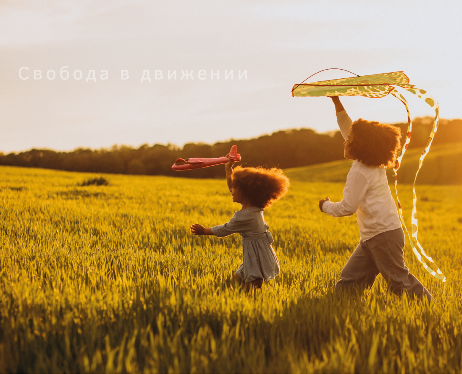 Weebeez — Брендинг на Dprofile