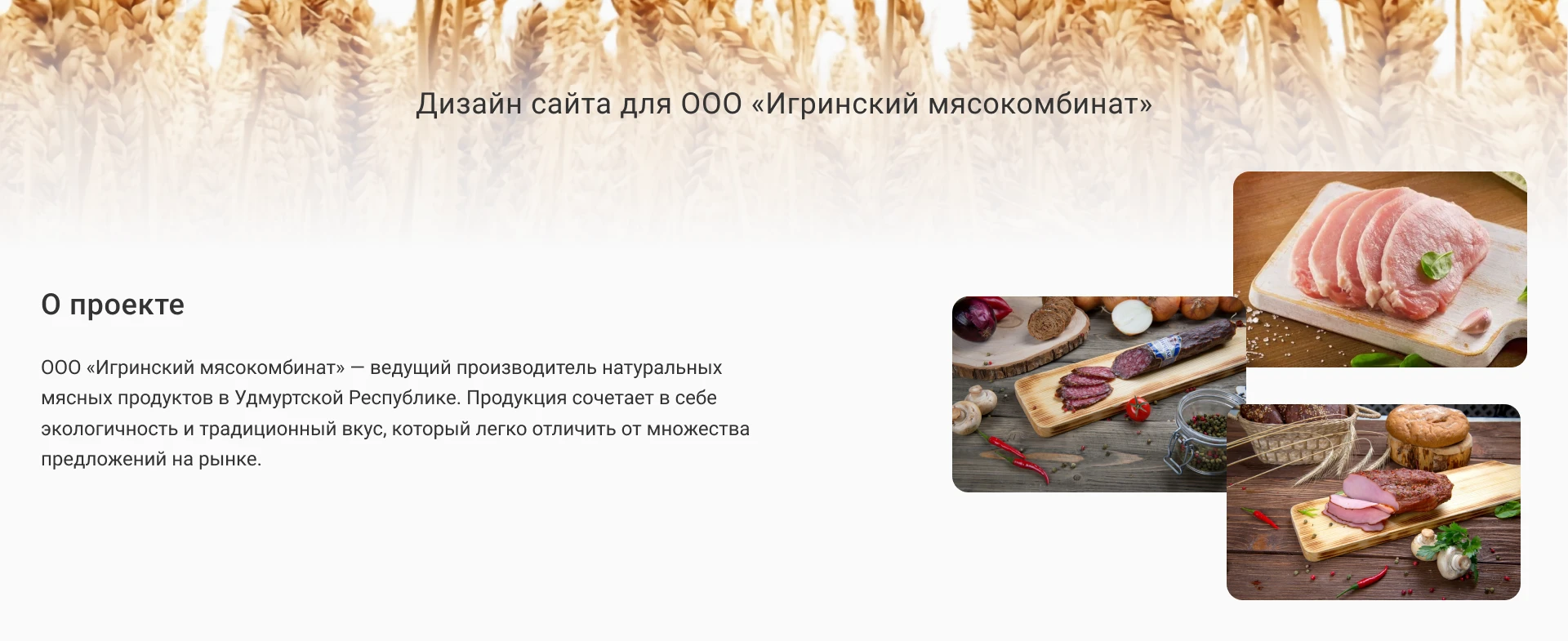 Дизайн сайта мясокомбината — Изображение №2 — Интерфейсы на Dprofile