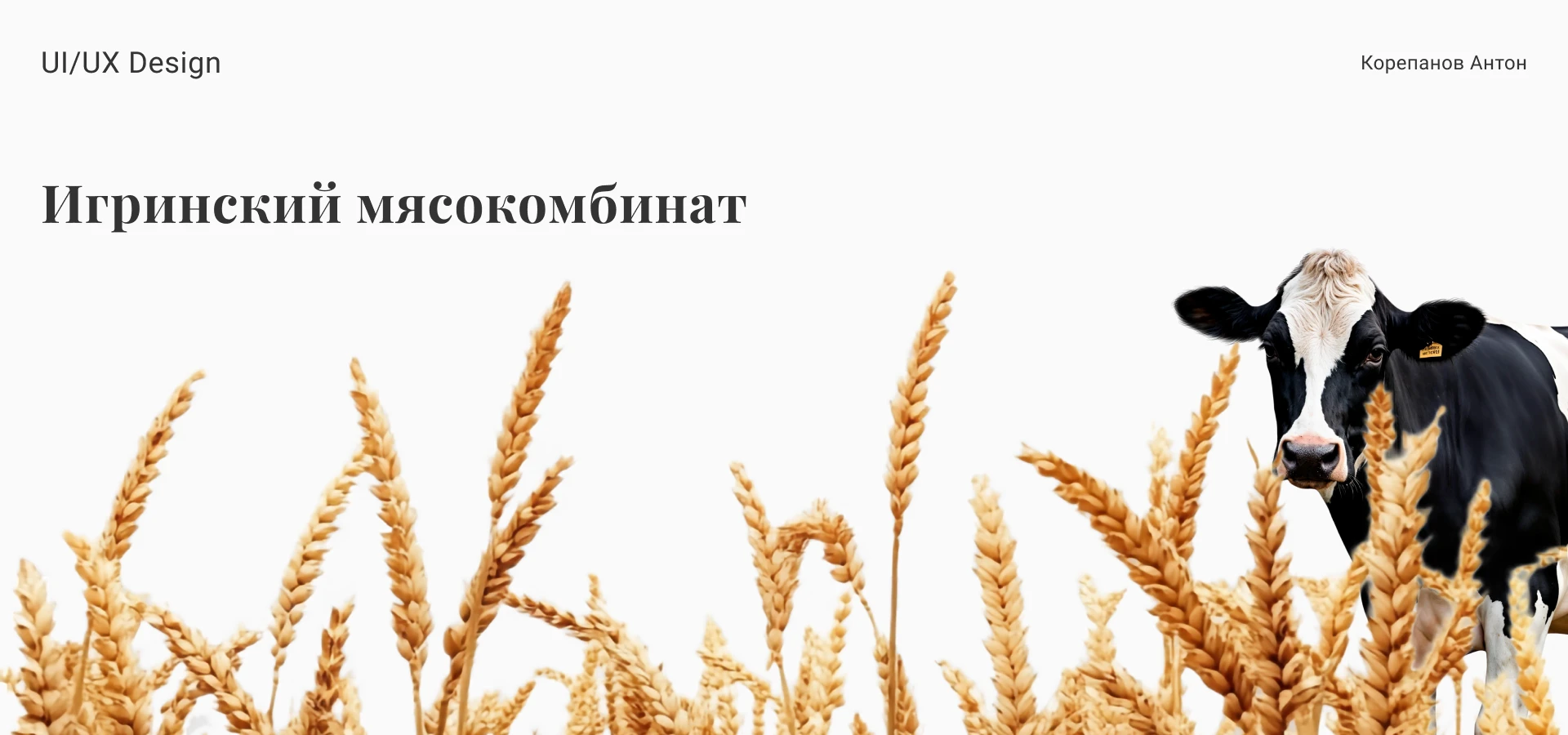 Дизайн сайта мясокомбината — Изображение №1 — Интерфейсы на Dprofile