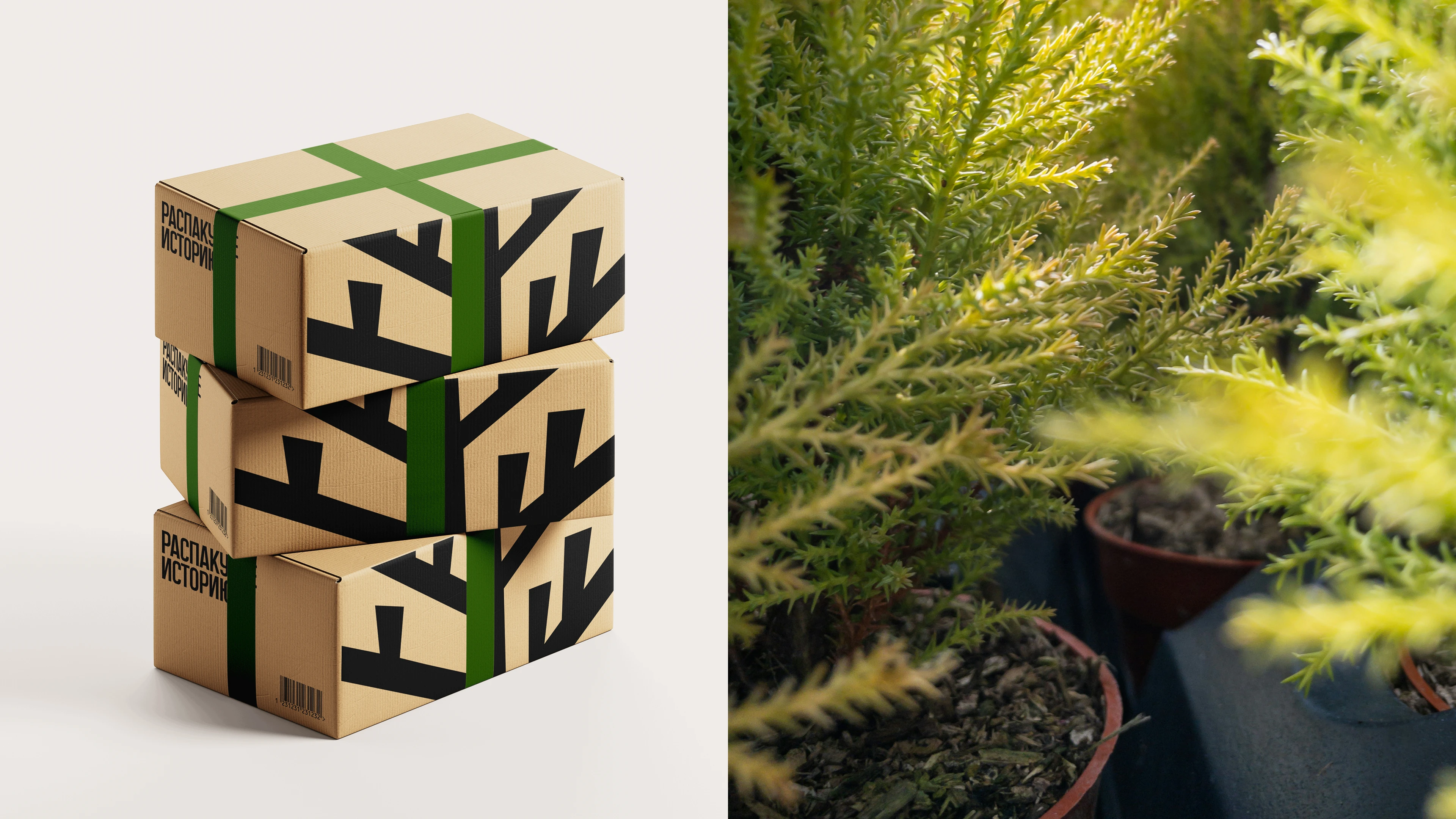 питомник «Братство Флоры» — Изображение №9 — Брендинг, Графика на Dprofile