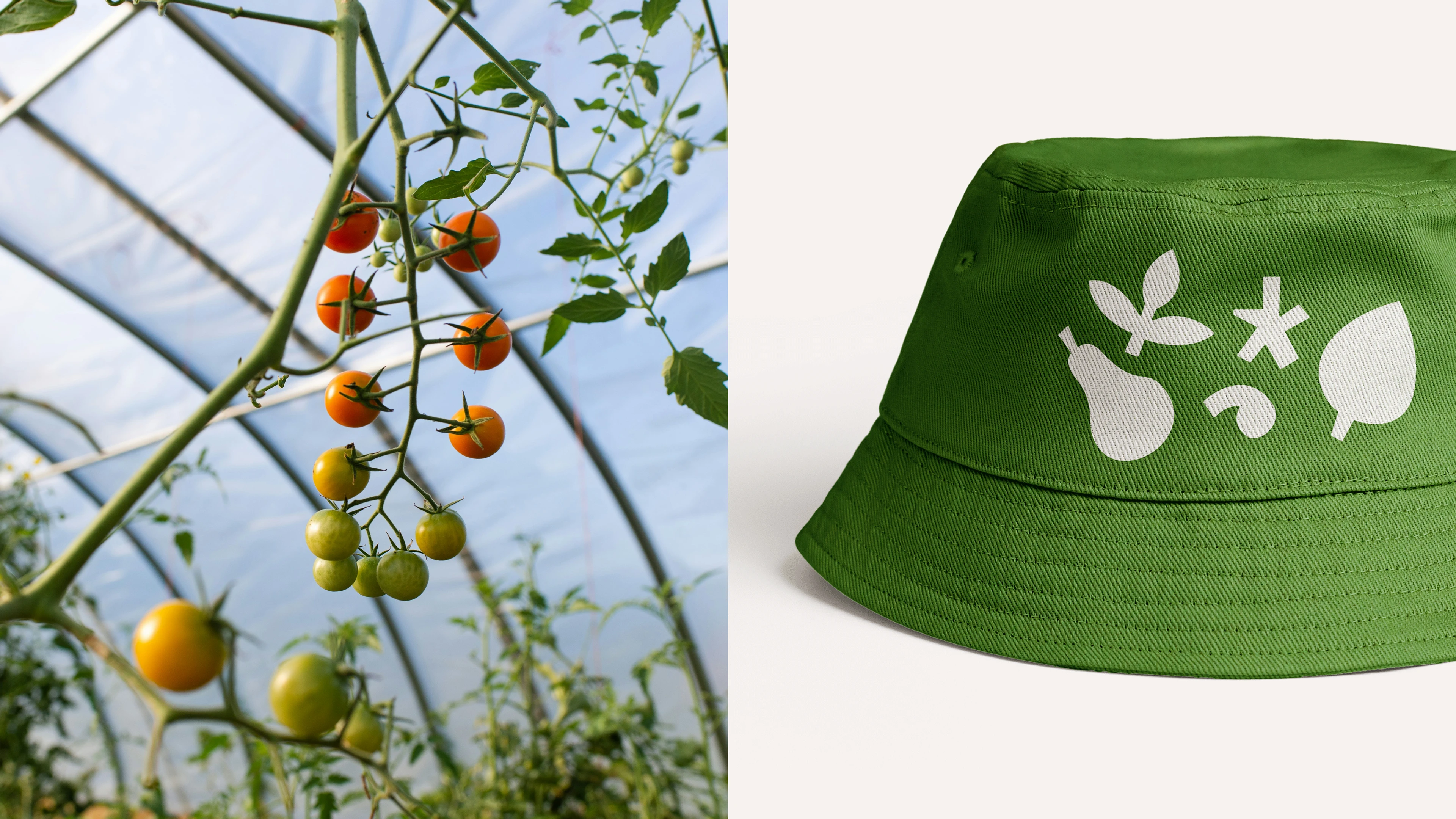 питомник «Братство Флоры» — Изображение №5 — Брендинг, Графика на Dprofile