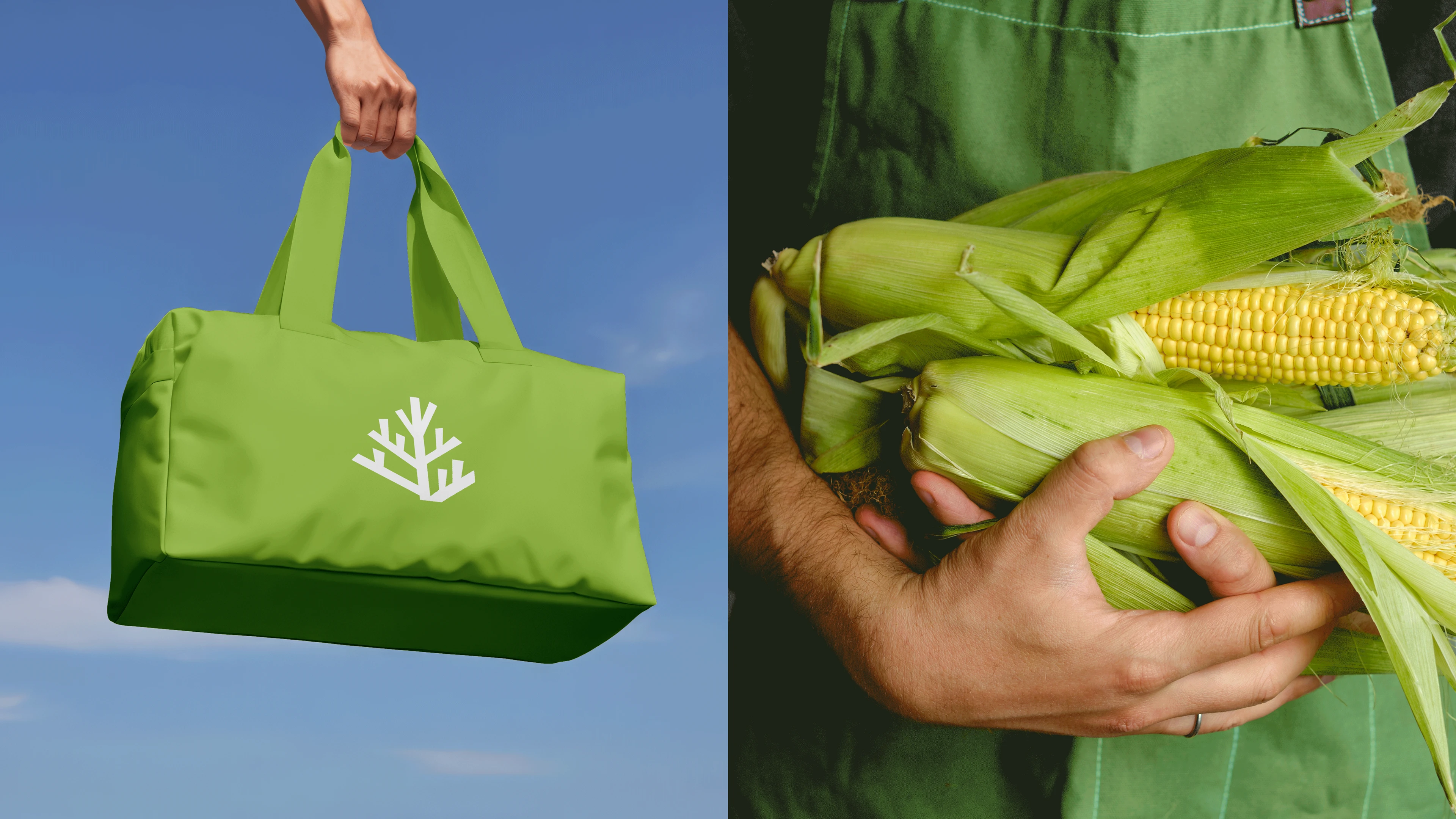 питомник «Братство Флоры» — Изображение №2 — Брендинг, Графика на Dprofile