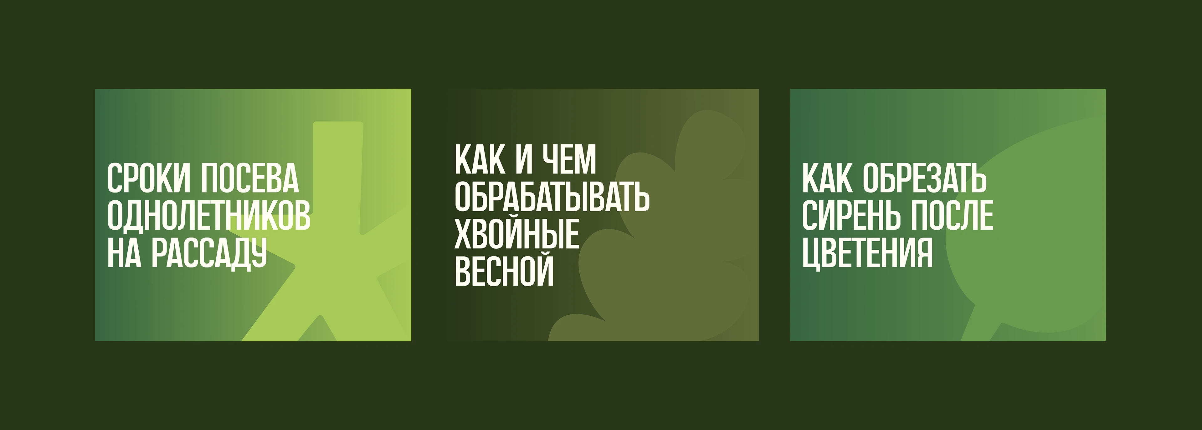 питомник «Братство Флоры» — Изображение №16 — Брендинг, Графика на Dprofile