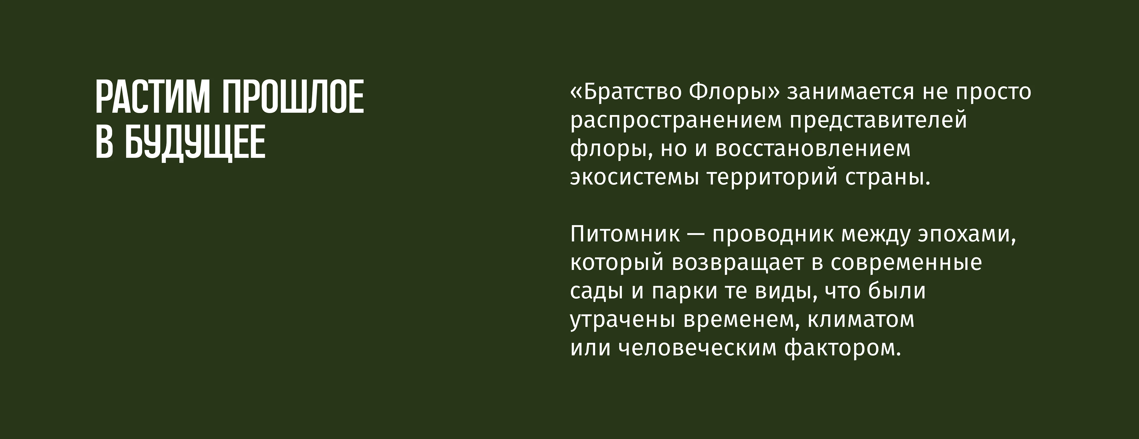 питомник «Братство Флоры» — Изображение №3 — Брендинг, Графика на Dprofile