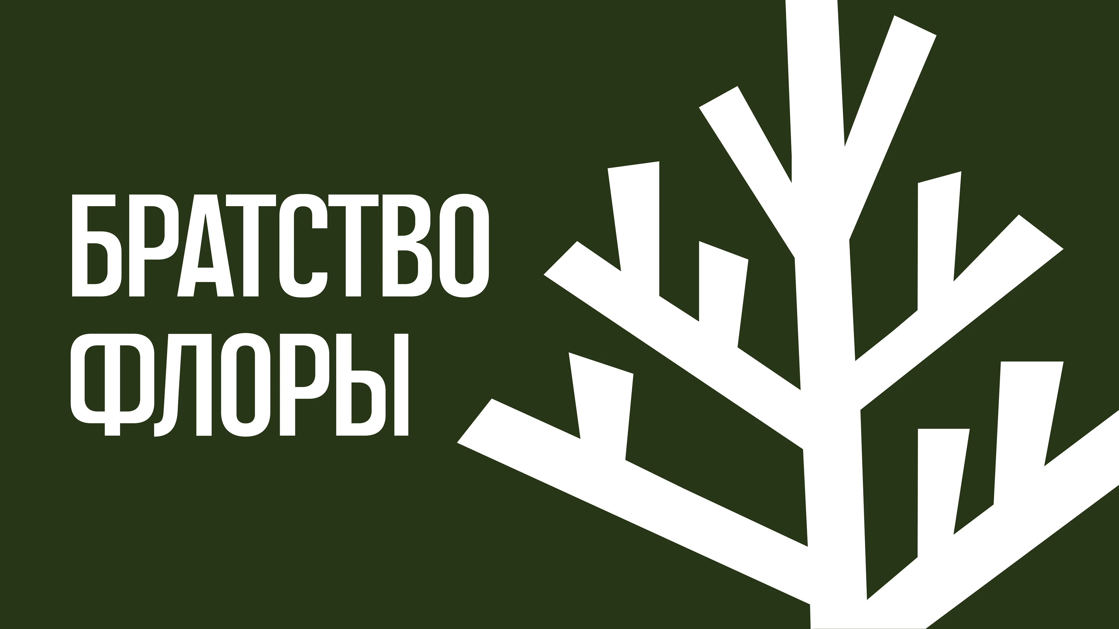 питомник «Братство Флоры» — Изображение №1 — Брендинг, Графика на Dprofile