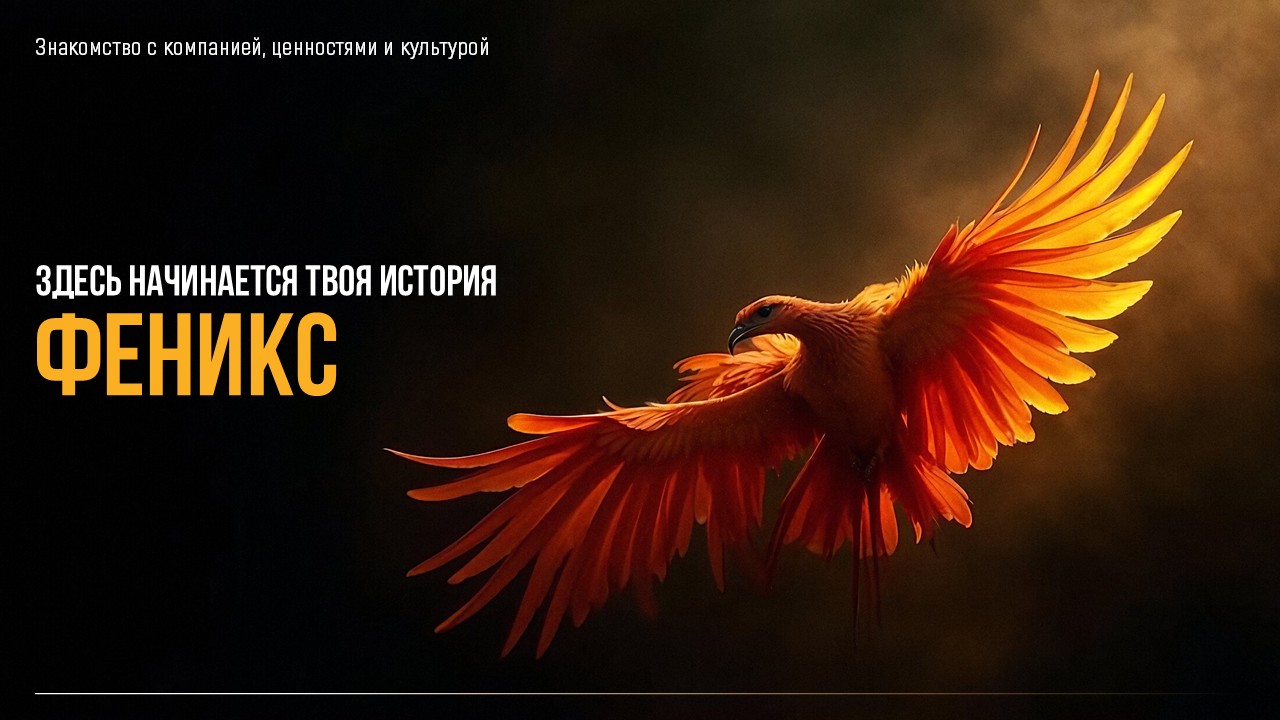 onboard презентация — Изображение №1 — Брендинг, Маркетинг на Dprofile