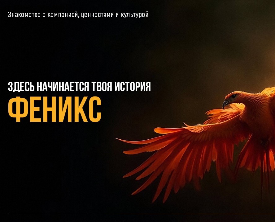 onboard презентация — Брендинг, Маркетинг на Dprofile