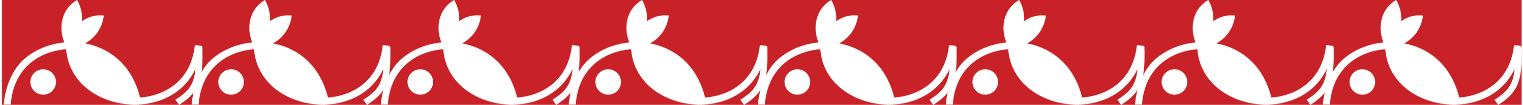 Фирменный стиль на основе собственного имени — Изображение №20 — Брендинг, Графика на Dprofile