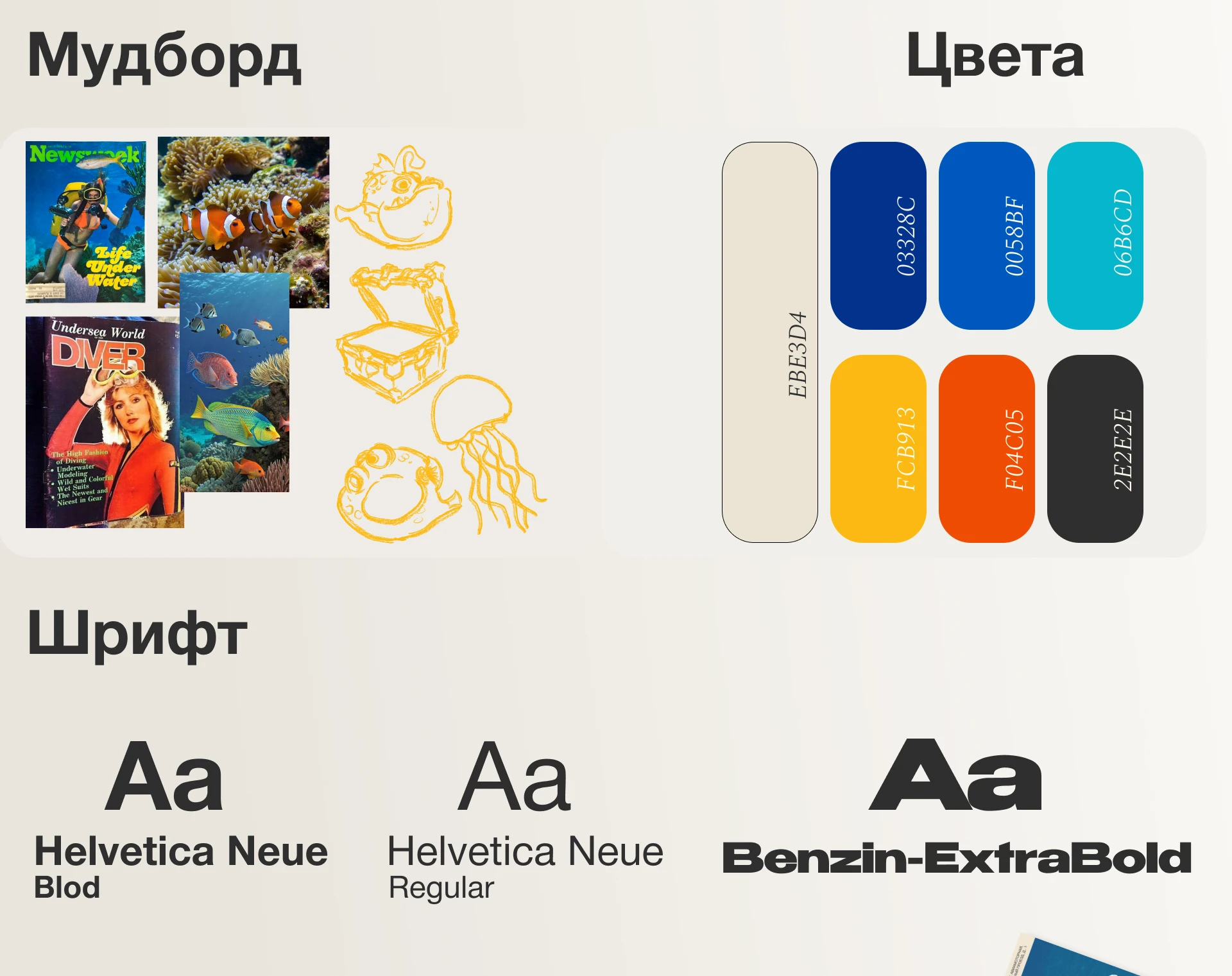 Редизайн сайта дайв-клуба Альтернатива — Изображение №4 — Интерфейсы на Dprofile
