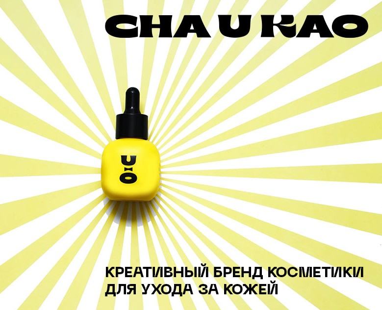 Cha u Kao & Skillbox (educational project) — Брендинг на Dprofile