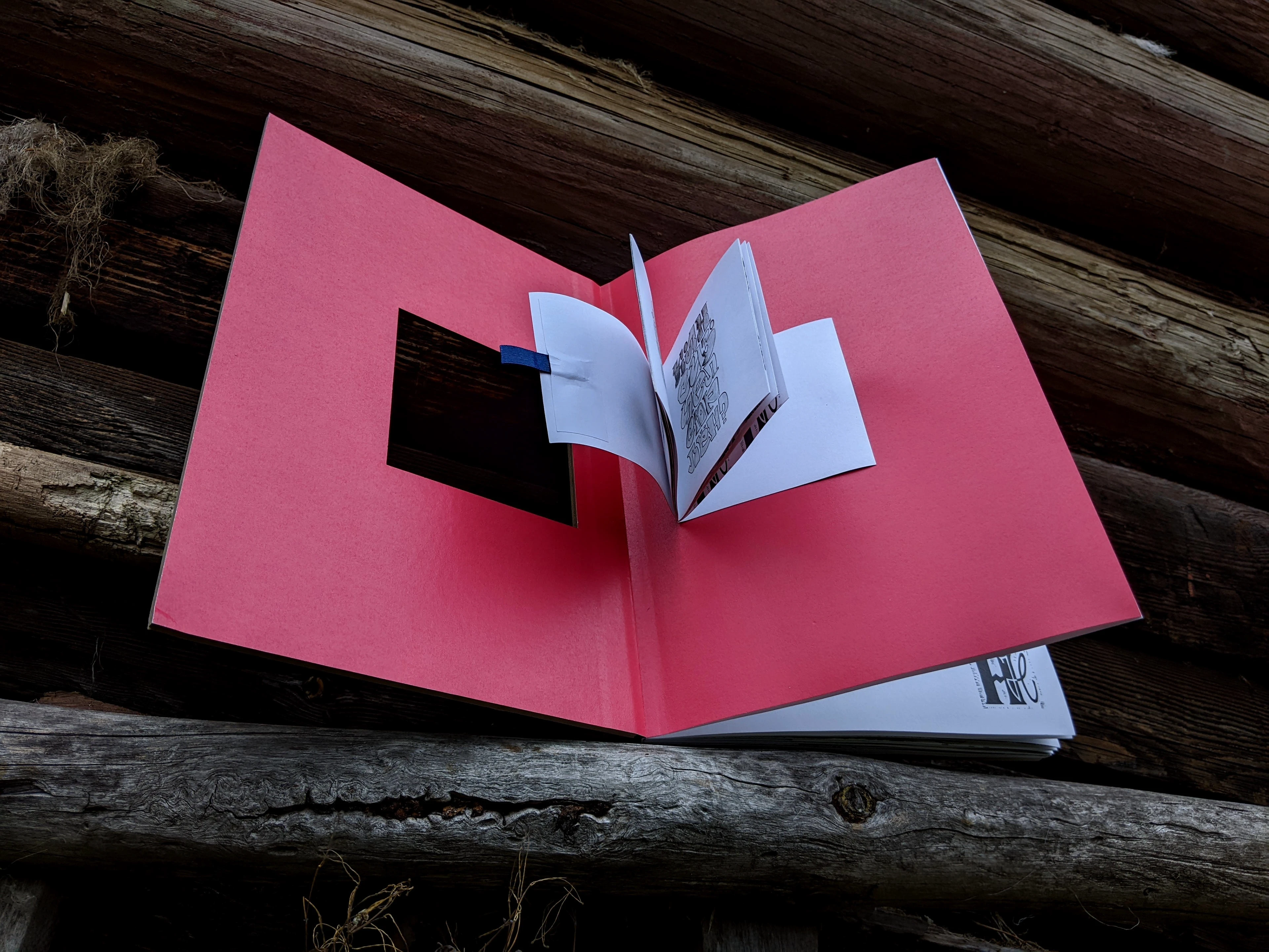 Авторская визуально-поэтическая книга | Артбук — Изображение №9 — Графика на Dprofile