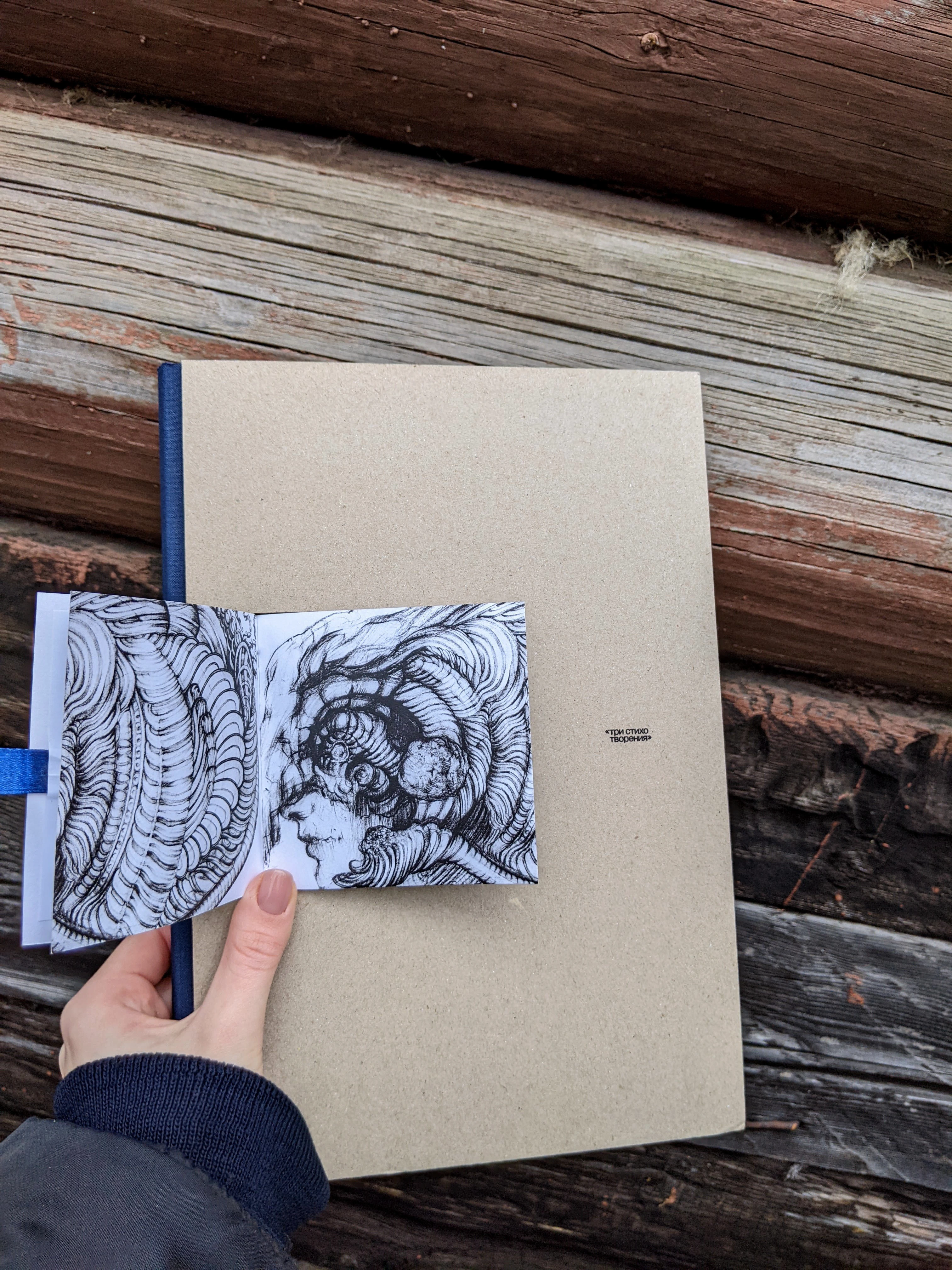 Авторская визуально-поэтическая книга | Артбук — Изображение №11 — Графика на Dprofile