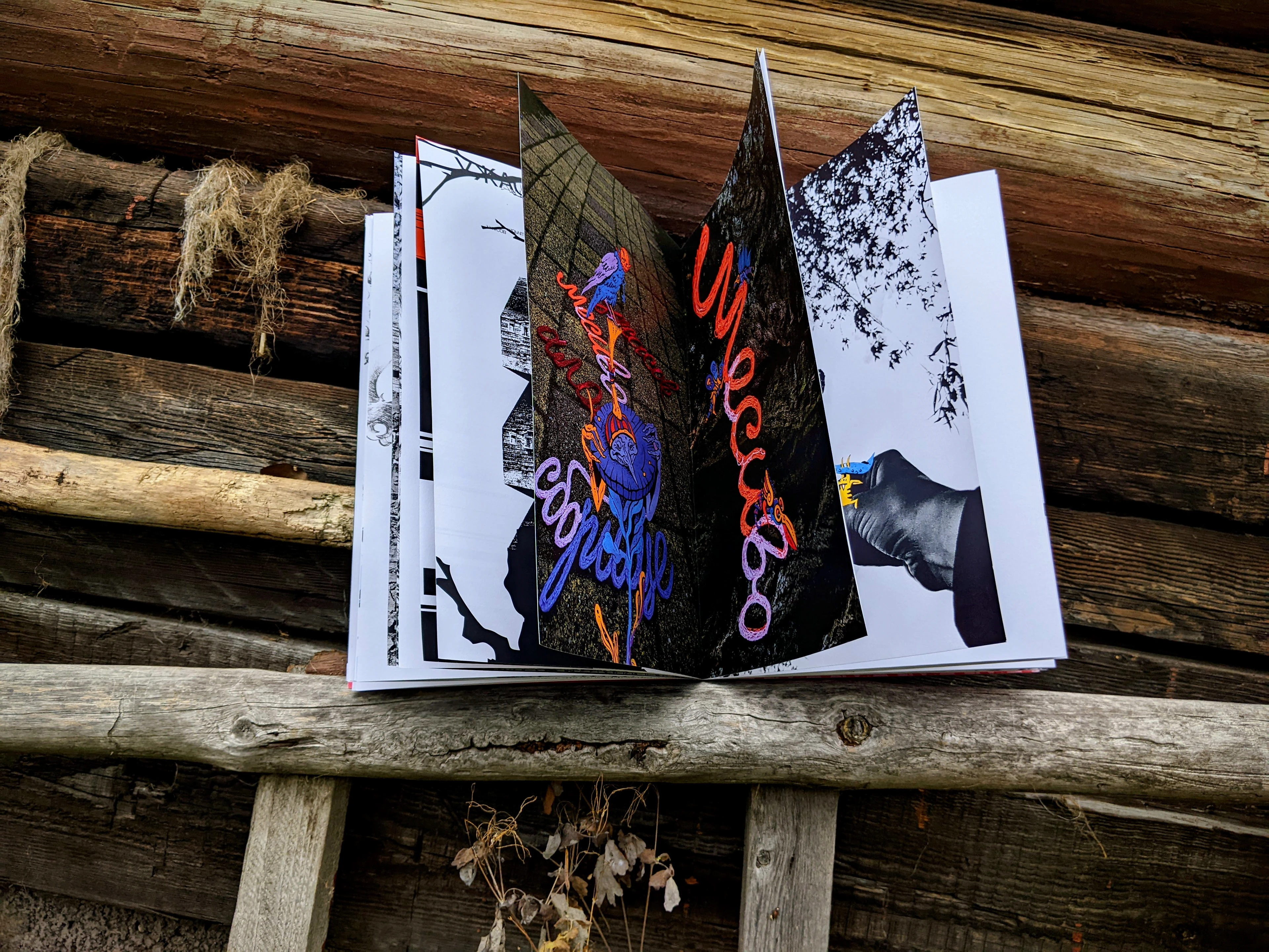 Авторская визуально-поэтическая книга | Артбук — Изображение №30 — Графика на Dprofile