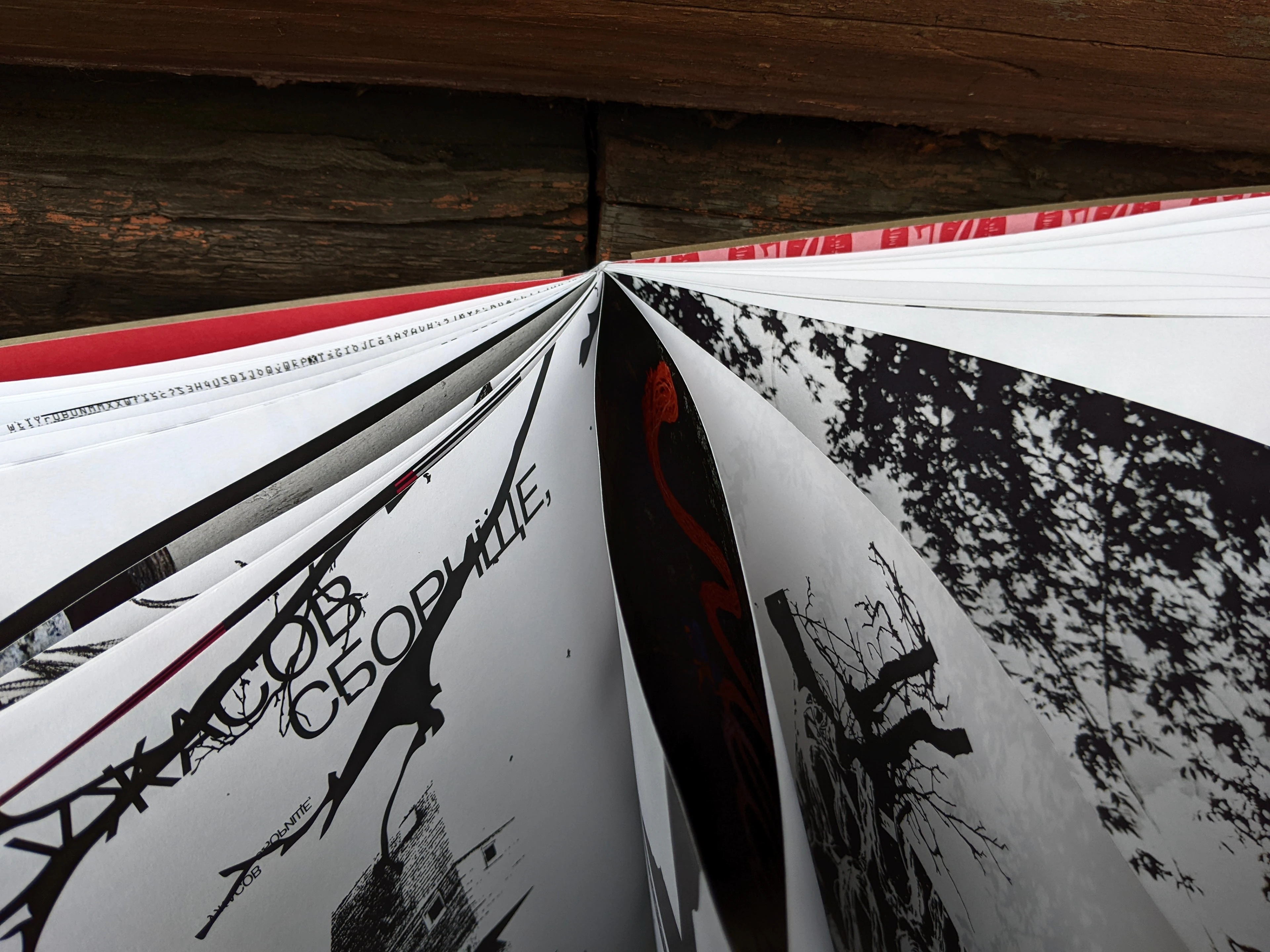 Авторская визуально-поэтическая книга | Артбук — Изображение №4 — Графика на Dprofile