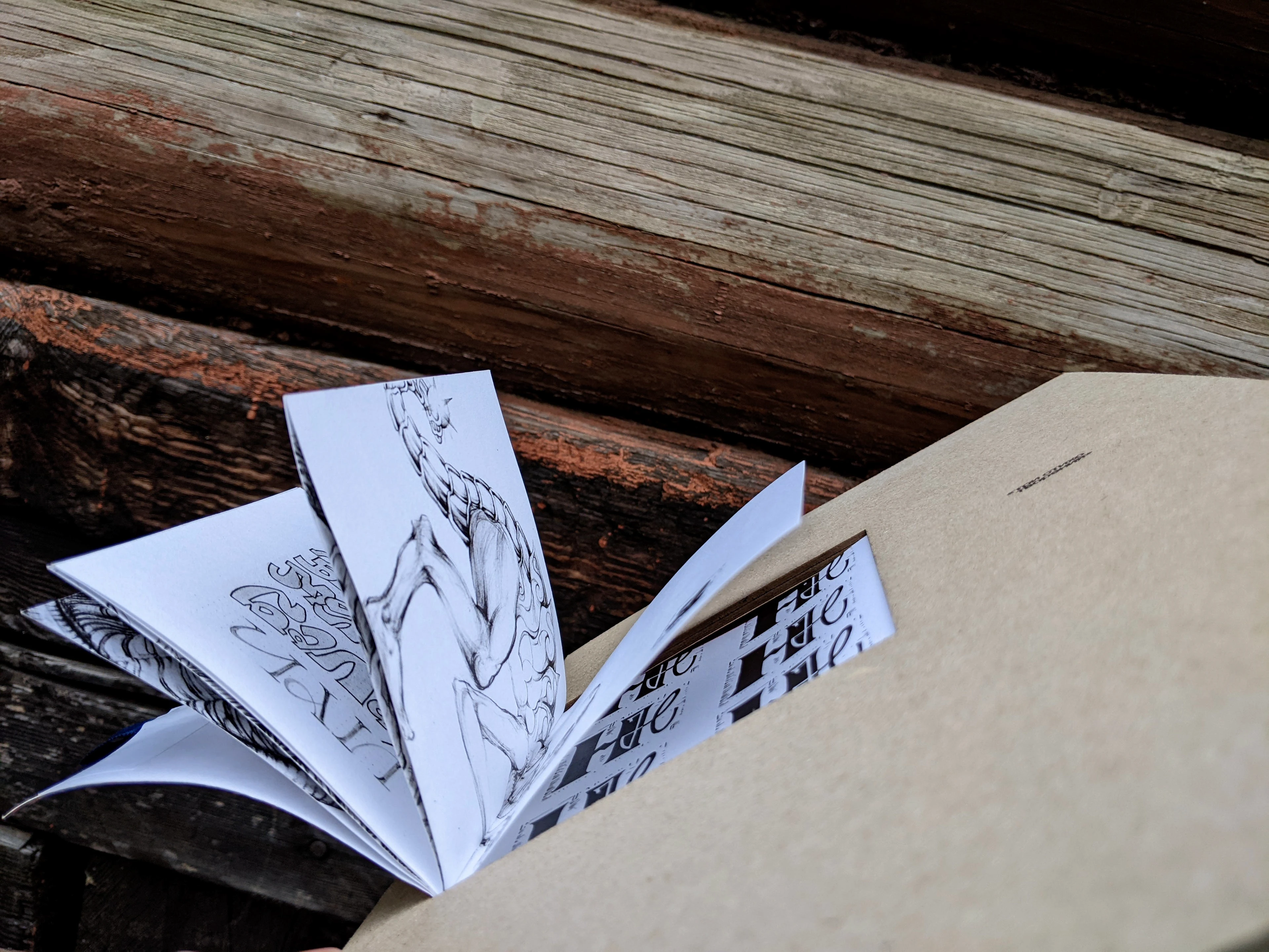 Авторская визуально-поэтическая книга | Артбук — Изображение №10 — Графика на Dprofile