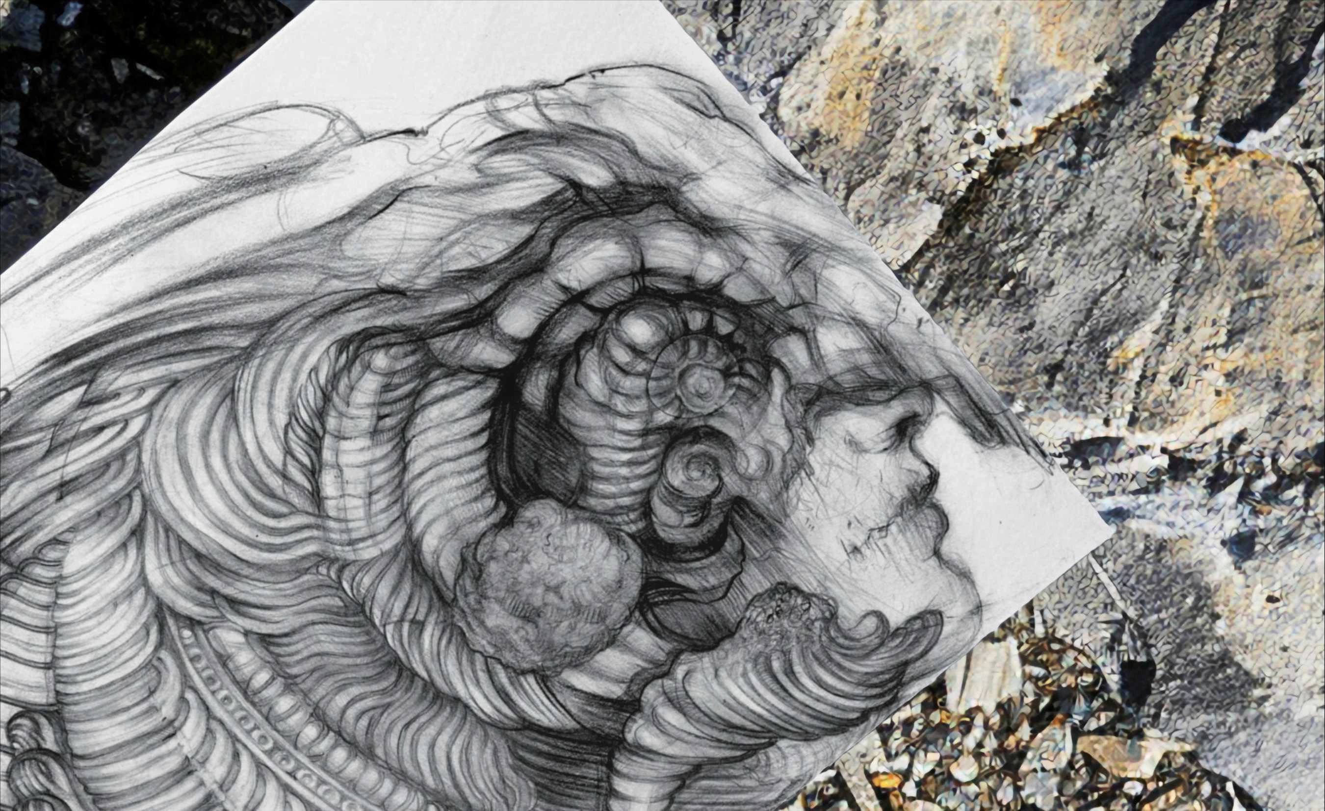 Серия «Морской бестиарий» | Иллюстрация| Illustration — Изображение №2 — Иллюстрация на Dprofile