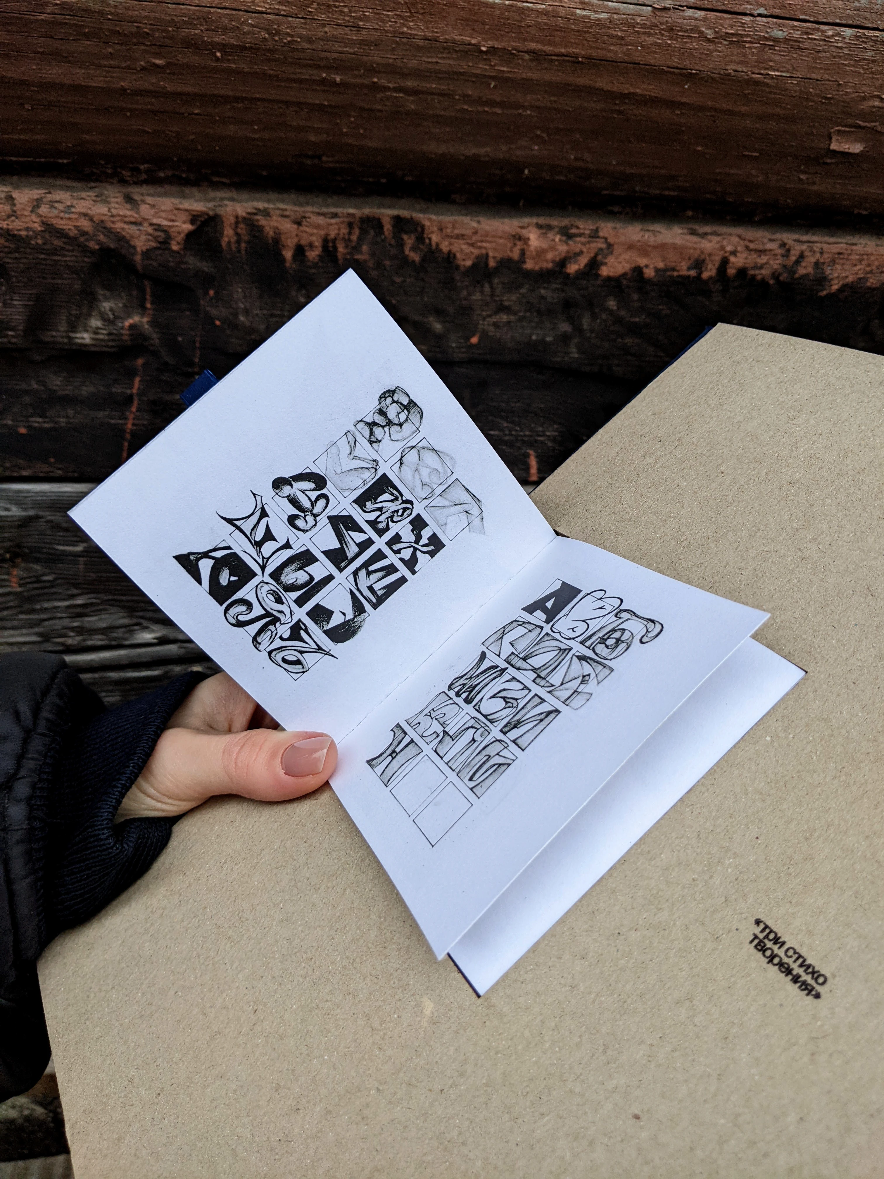 Авторская визуально-поэтическая книга | Артбук — Изображение №12 — Графика на Dprofile