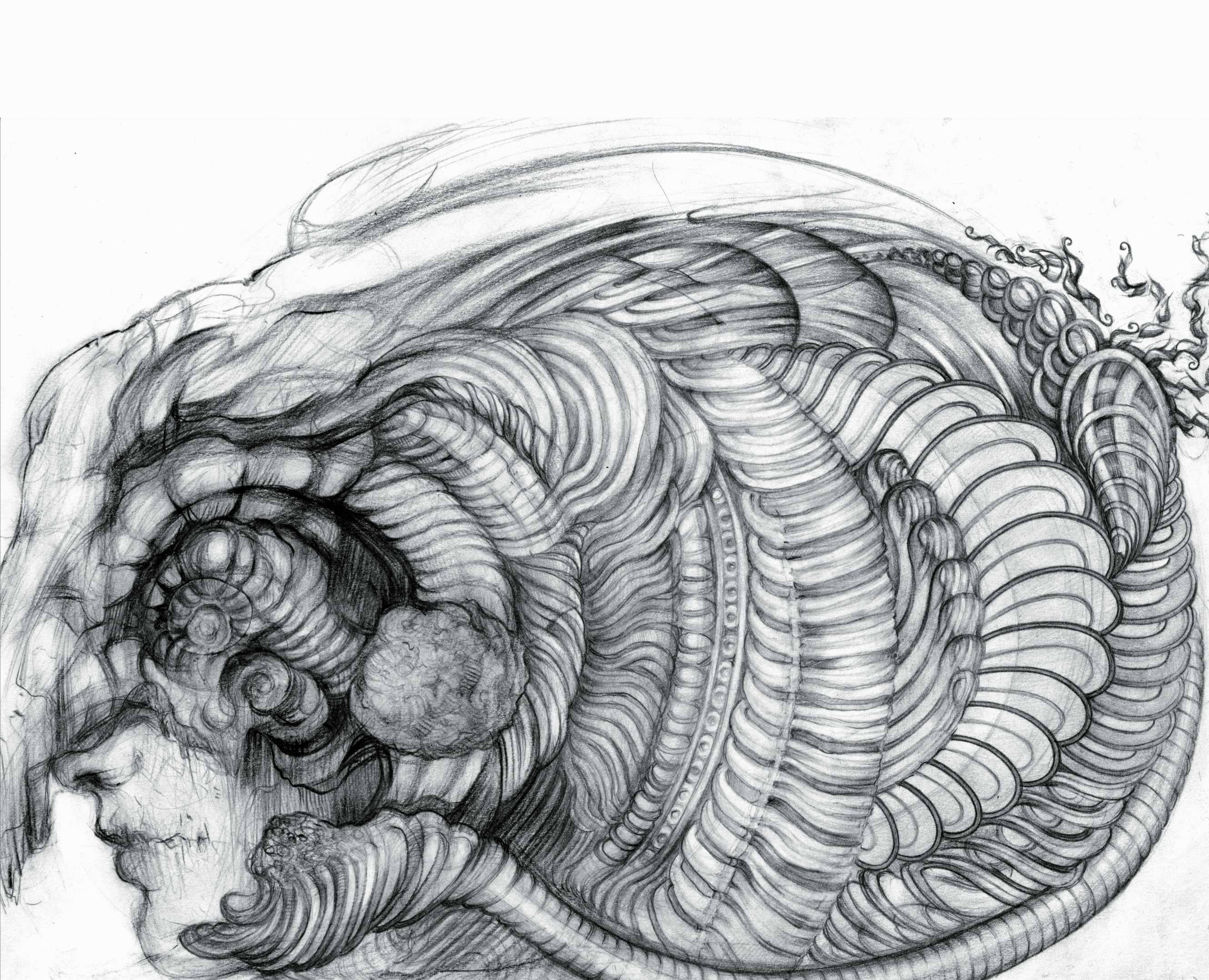 Серия «Морской бестиарий» | Иллюстрация| Illustration — Иллюстрация на Dprofile