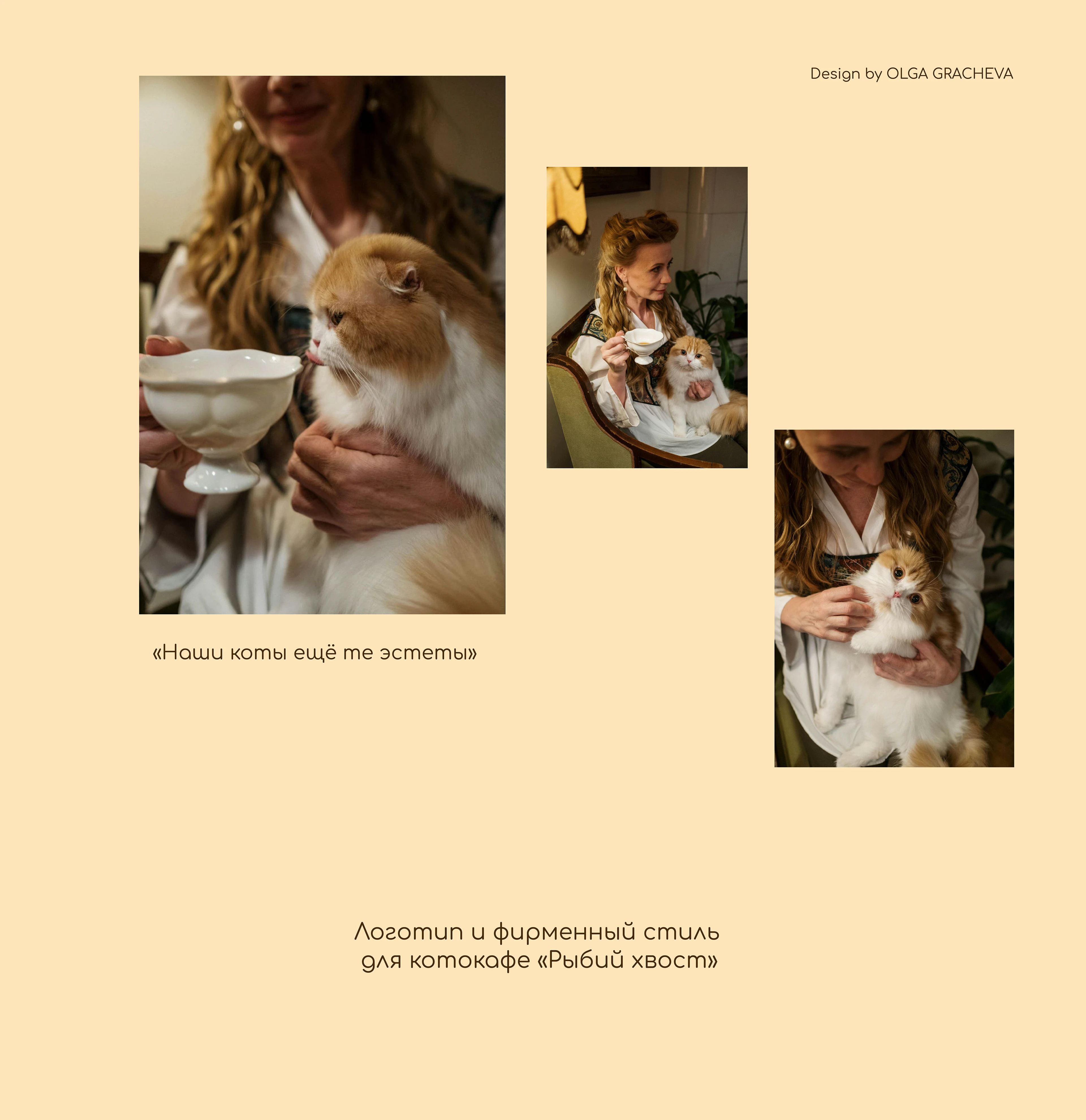 Котокафе "Рыбий хвост" — Изображение №1 — Брендинг на Dprofile